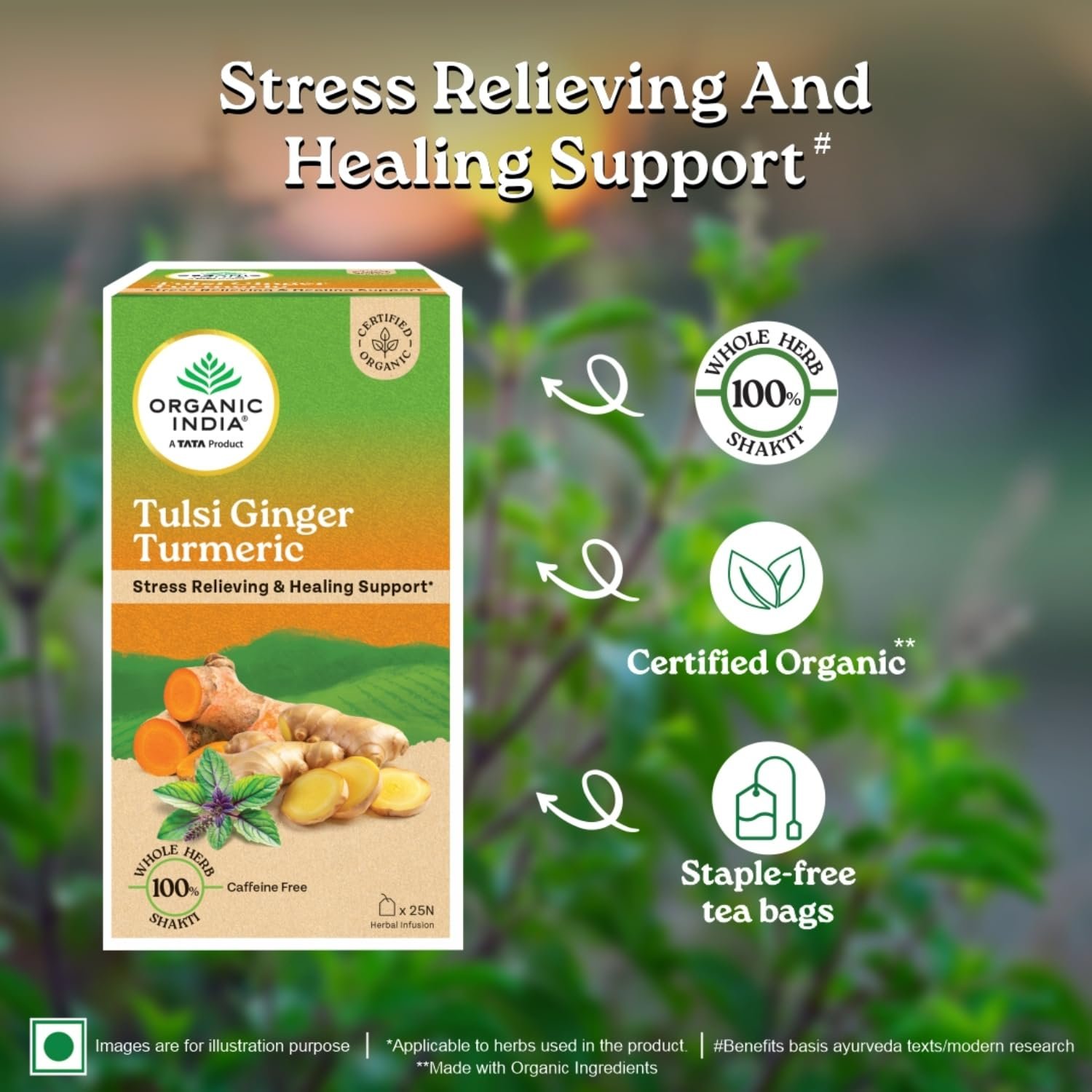 A TATA Product - Organic India Tulsi Ginger Turmeric - 25 Tea Bags, Boosts Immunity, Supports Healing & Recovery, Rich in Antioxidants, Made with Tulsi, Turmeric, Cinnamon, and Pepper thumbnail