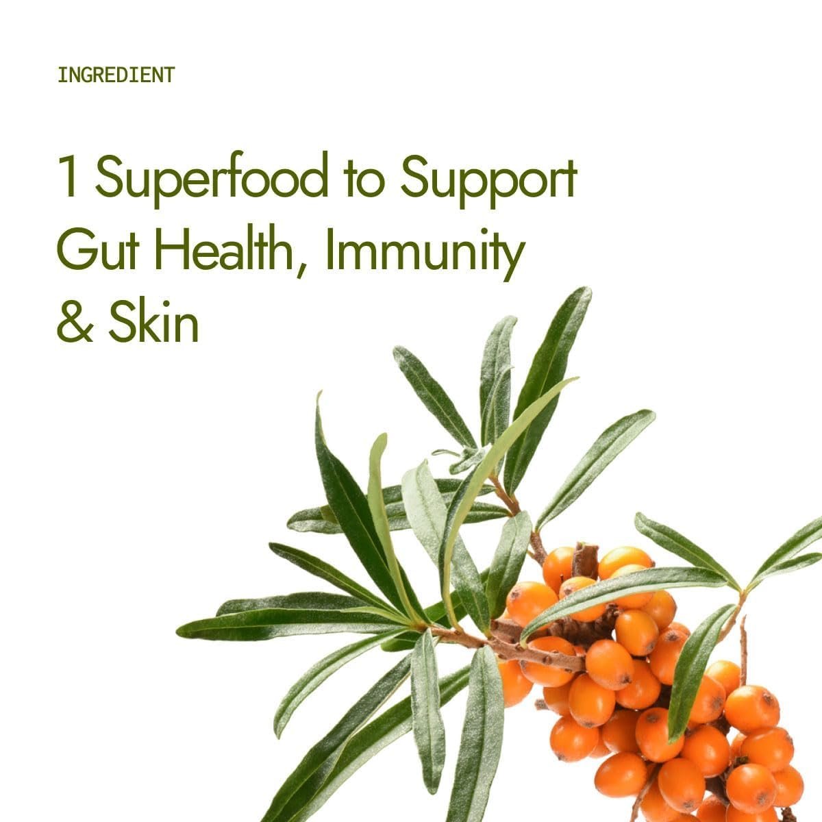 Kapiva Sea Buckthorn Juice – 500ml | Omega 7-Rich Superfruit | Supports Immunity, Glowing Skin & Gut Health | With Omega 3, 6 & 9 thumbnail