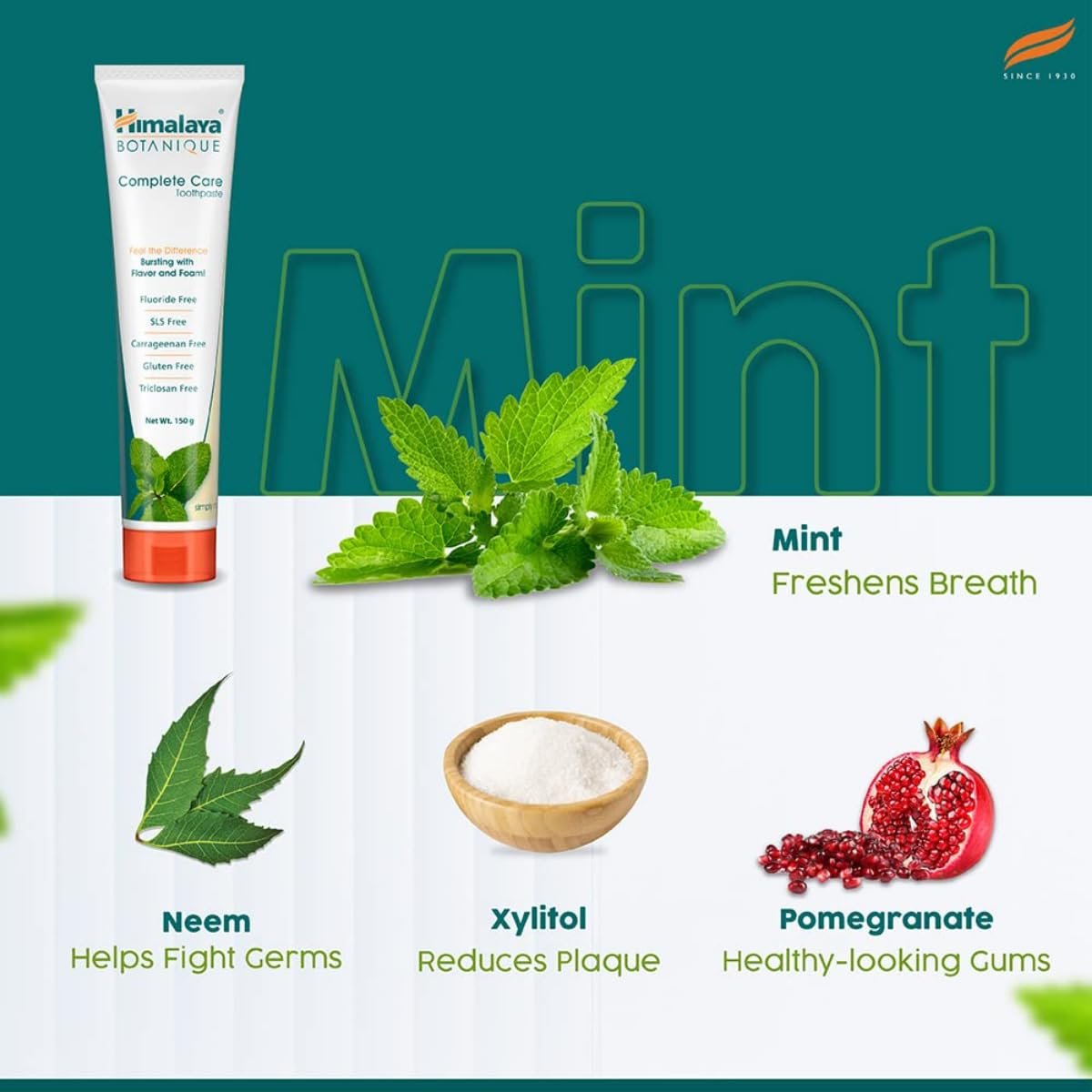 Himalaya Botanique Complete Care Toothpaste 150g thumbnail