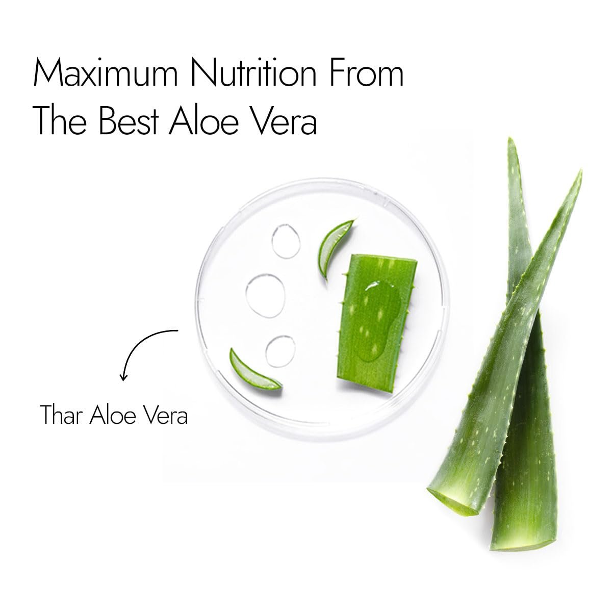 Kapiva Pure Aloe Vera Skin Gel 500g For Face & Hair | Hydrating, Moisturizing, Soothing Skin | Multipurpose Gel thumbnail