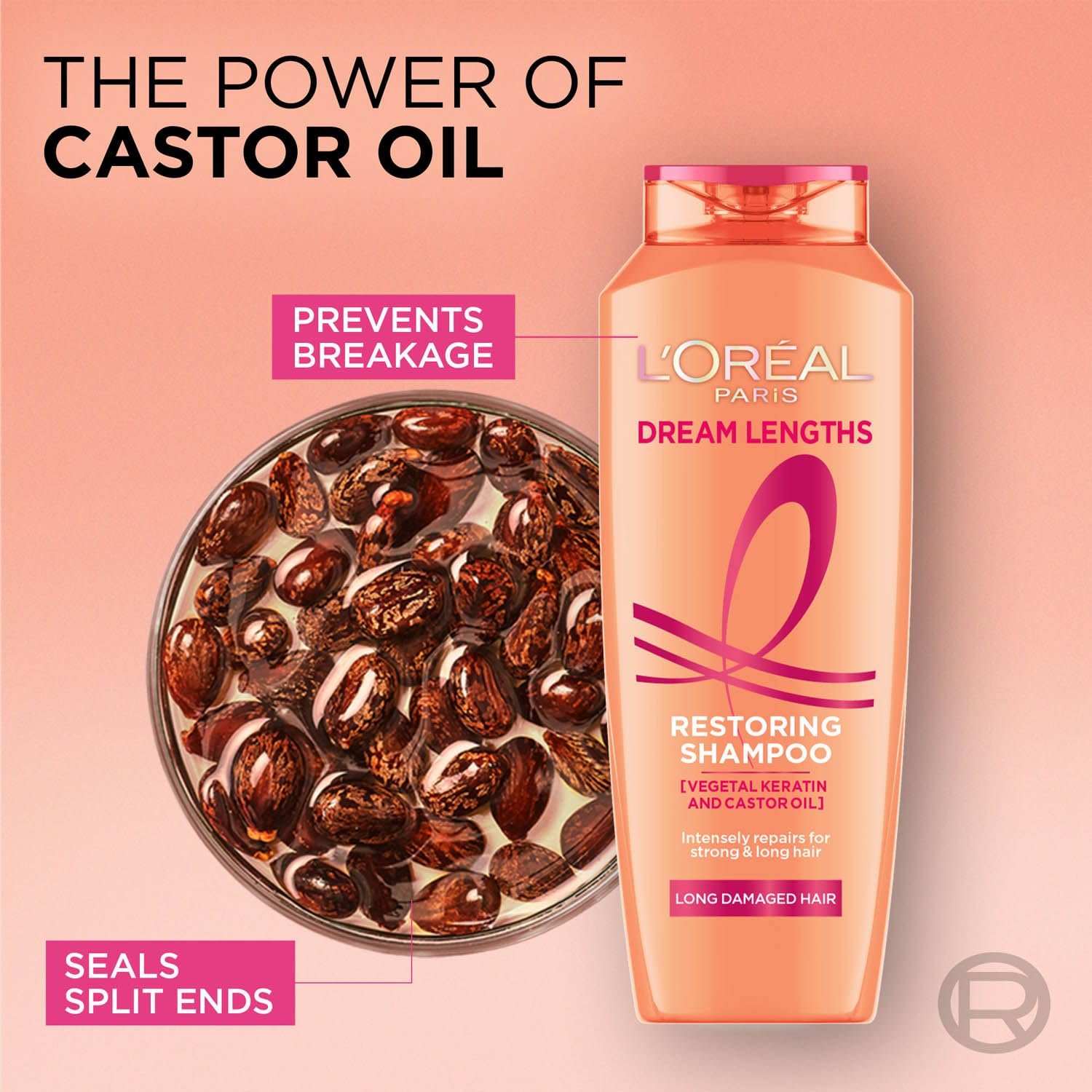 L'Oreal Paris Shampoo, Nourishes, Repair & Shine, For Long and Lifeless Hair, Dream Lengths, 340 ml thumbnail