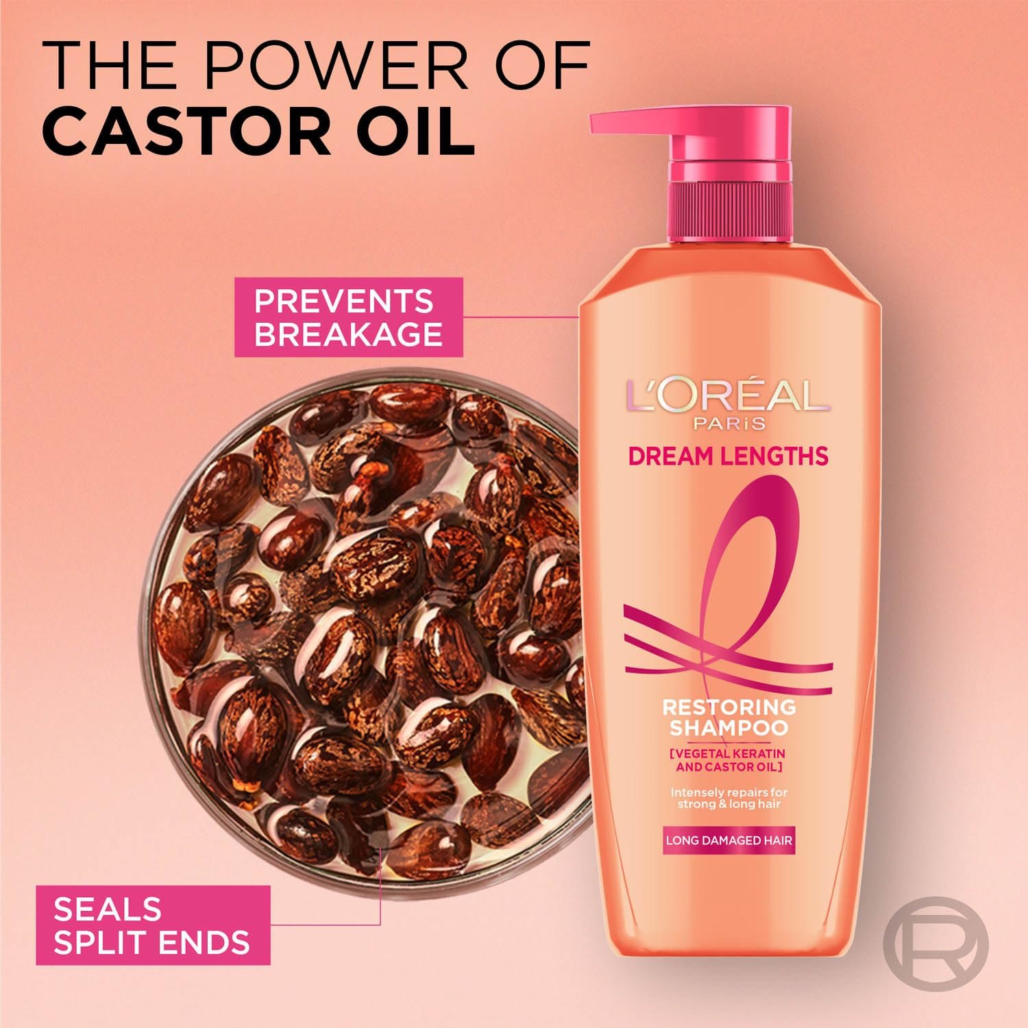 L'Oréal Paris Shampoo, Nourish, Repair & Shine, For Long and Lifeless Hair, Dream Lengths, 650 ml thumbnail
