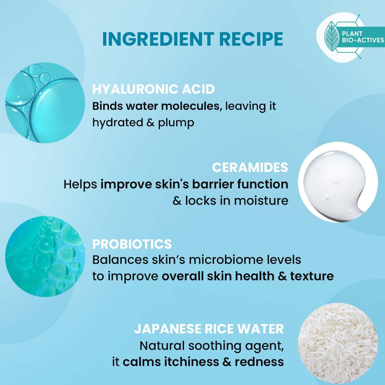 Dot & Key Blueberry Hydrate Barrier Repair Shower Gel | Sulphate Free & Non Drying | Body Wash For Sensitive, Dry & Normal Skin | 250ml thumbnail