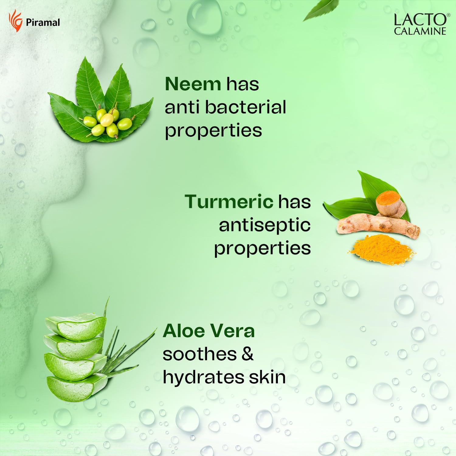 Lacto Calamine Neem Aloe Turmeric Foaming Face wash| Reduces pimples| Purifies skin| With Built-in foaming Brush| 150 ml thumbnail
