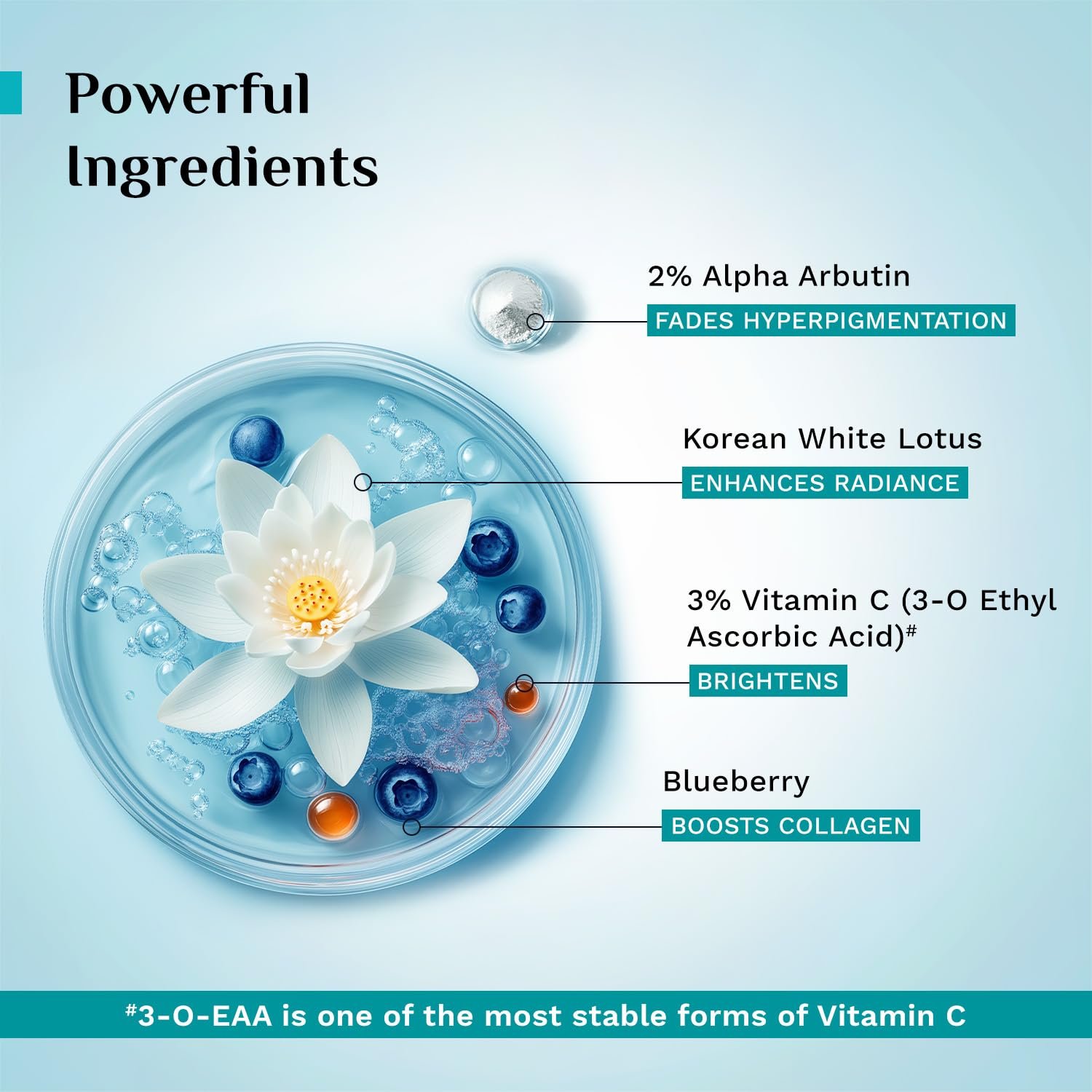 PILGRIM Korean 2% Alpha Arbutin & 3% Vitamin C Brightening Face Serum for glowing skin| Alpha arbutin face serum|All skin types | Men & Women| Korean Skin Care| Vegan & Cruelty-free | 30ml thumbnail