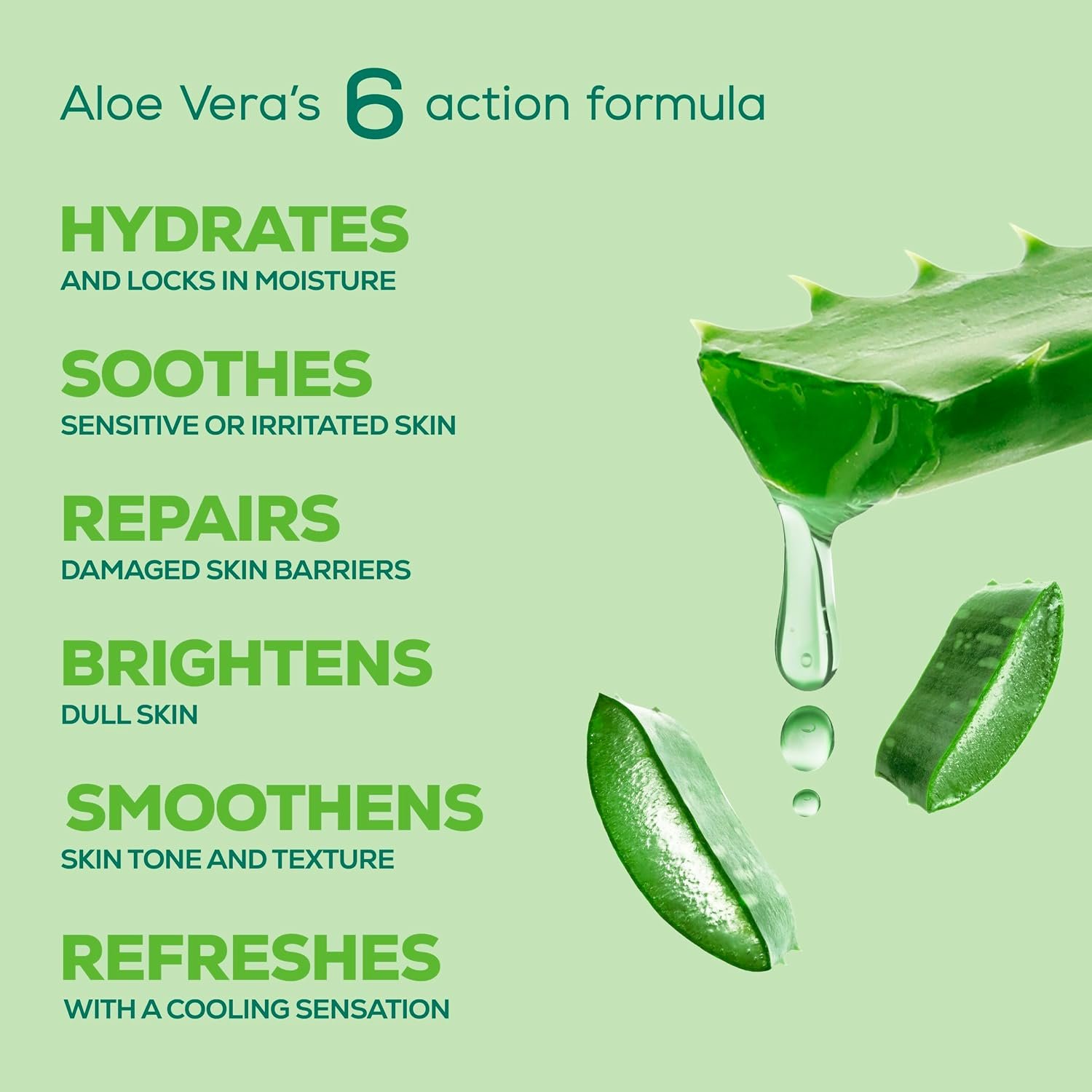 Joy Pure Aloe Light Moisturizing Body Lotion 500ml | 48Hr Moisture for Men & Women | Soothes, Hydrates & Freshens Dry Skin | Ideal for Winter | Lightweight, NonSticky & Non-Greasy | thumbnail