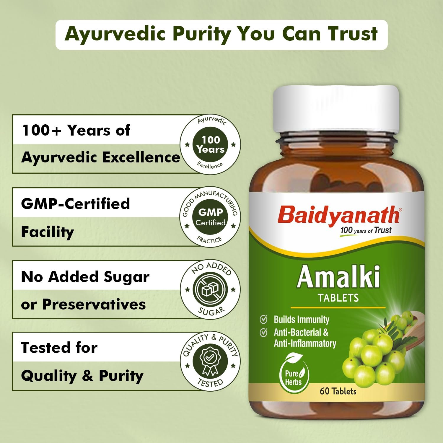 Baidyanath Ayurved Amlaki (Amla) | Helps to Build Immunity | Anti-Bacterial and Anti-Inflammatory | 60 TB thumbnail