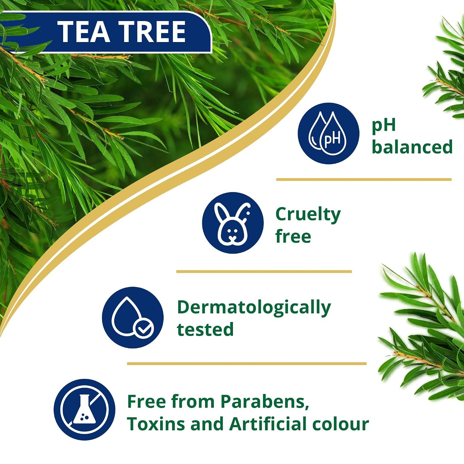 Himalaya Anti-Dandruff Tea Tree Shampoo 180 ml | with Tea Tree oil, Aloe Vera & Natural Proteins | Up to 100% Free From Dandruff | Dermatologically Tested | Non-Drying | For Women & Men thumbnail