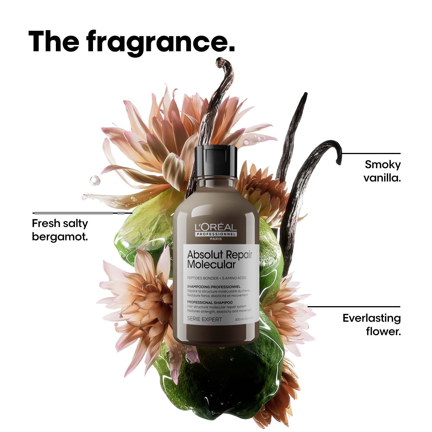 L'Oréal Professionnel Absolut Repair Molecular Sulfate-Free Deep Repairing Shampoo for Damaged Hair - 300 ml | Repairs Very Damaged Hair and Restores Strength With 2% Peptides Bonder thumbnail