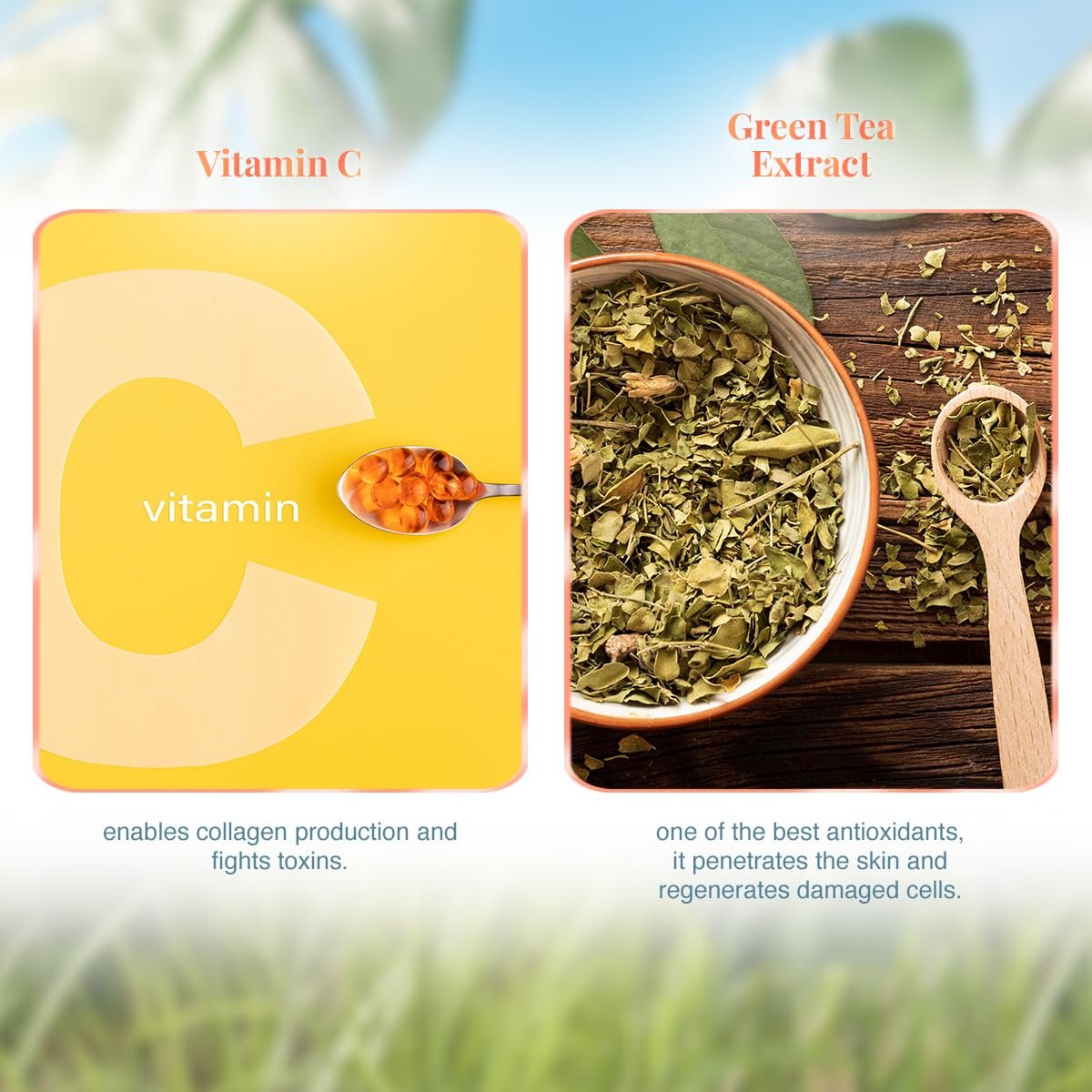 VLCC Vitamin C Day Cream SPF 30-50g - Protects, Boost Collagen, and Brightens Skin | With 15% Vitamin C, Vitamin E, Green Tea, and Mulberry Extracts. thumbnail