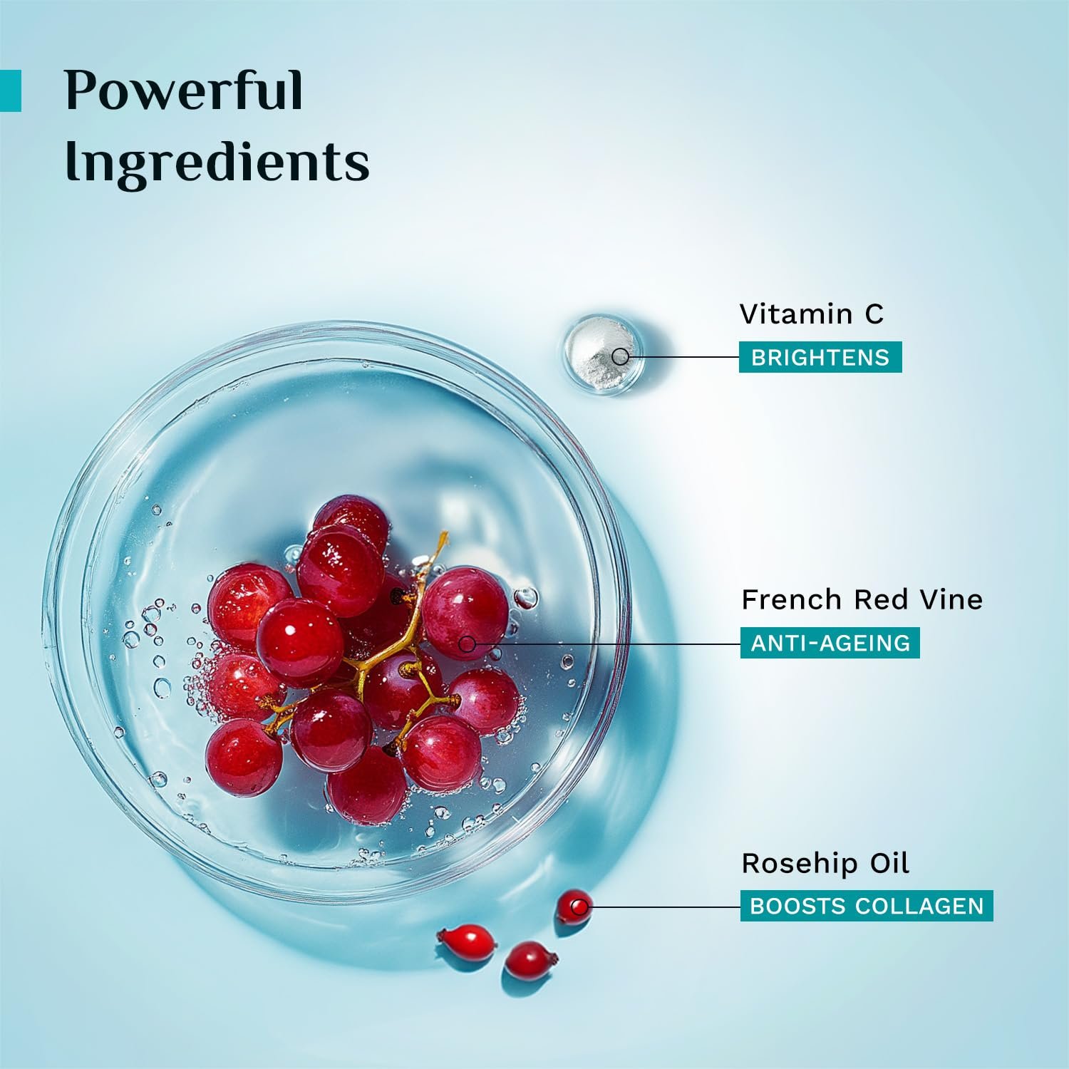 PILGRIM French Red Vine Youthful Glow Moisturizer SPF 30 with Vitamin C, Rosehip Oil For Anti Ageing, Sun Protection PA+++, Daily Use, Dry, Oily, Combination Skin, Men & Women, 50g thumbnail