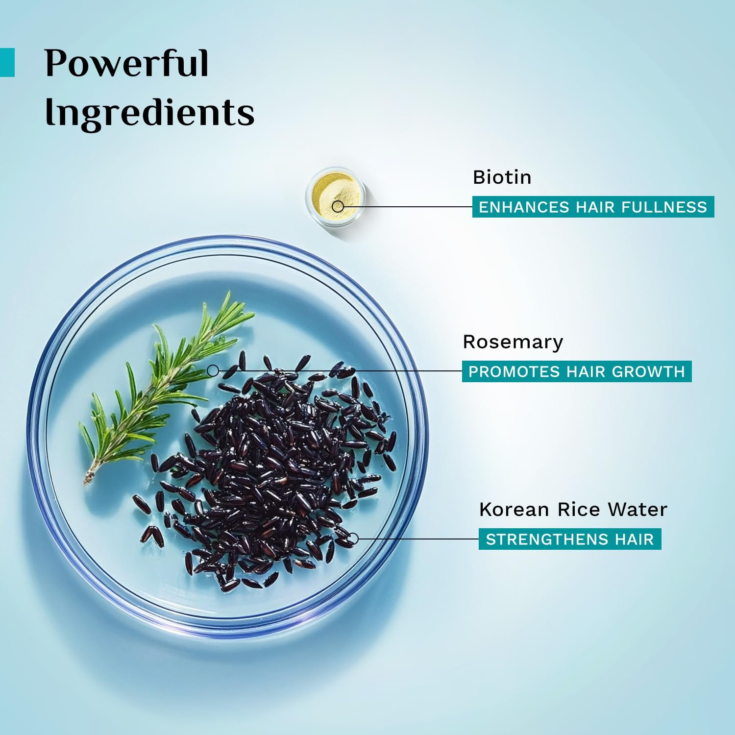 Pilgrim Korean Black Rice and Rosemary Water Spray With Biotin for Hair Growth 100ml | Hair Spray for Regrowth | Thicker & Stronger Hair | Sulphate & Paraben Free I For Women & Men thumbnail