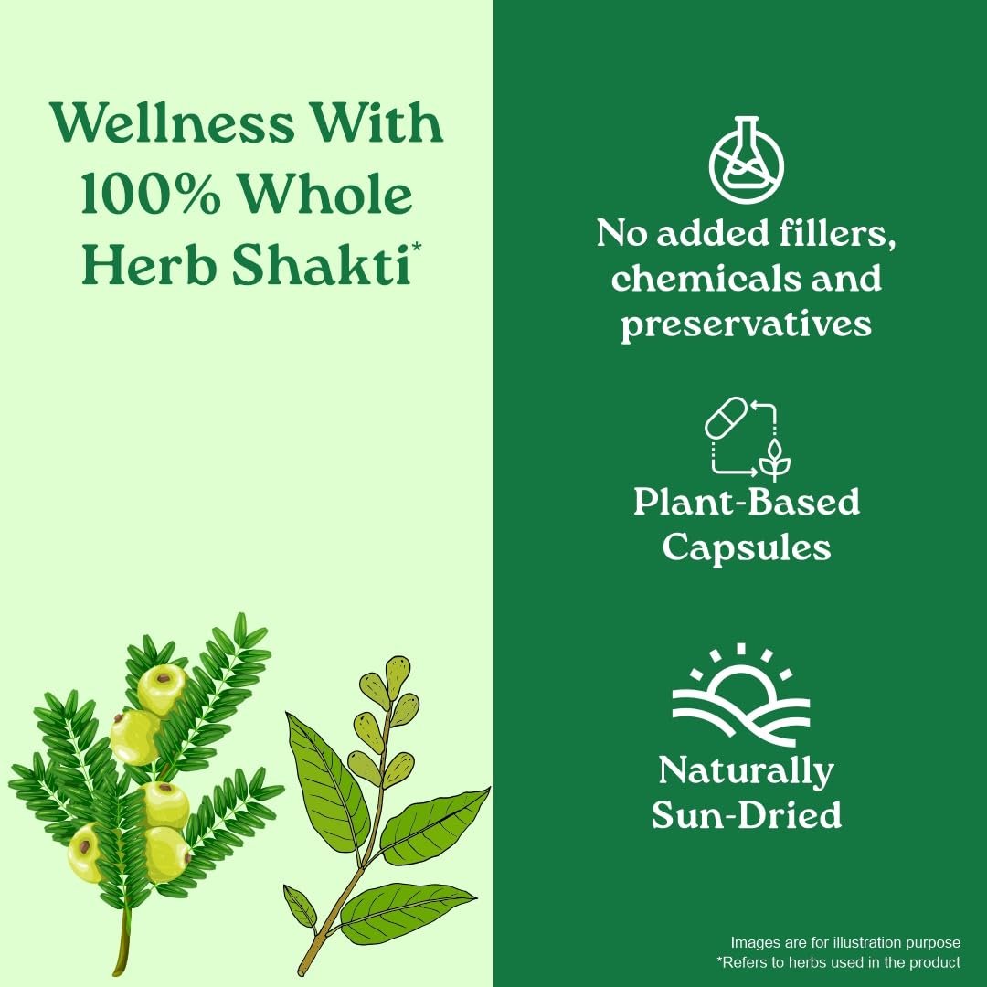 A TATA Product - Organic India Triphala Capsules - 60 Caps, Supports Immune System, Colon & Digestion, Balanced Bowel & Gut Health . thumbnail