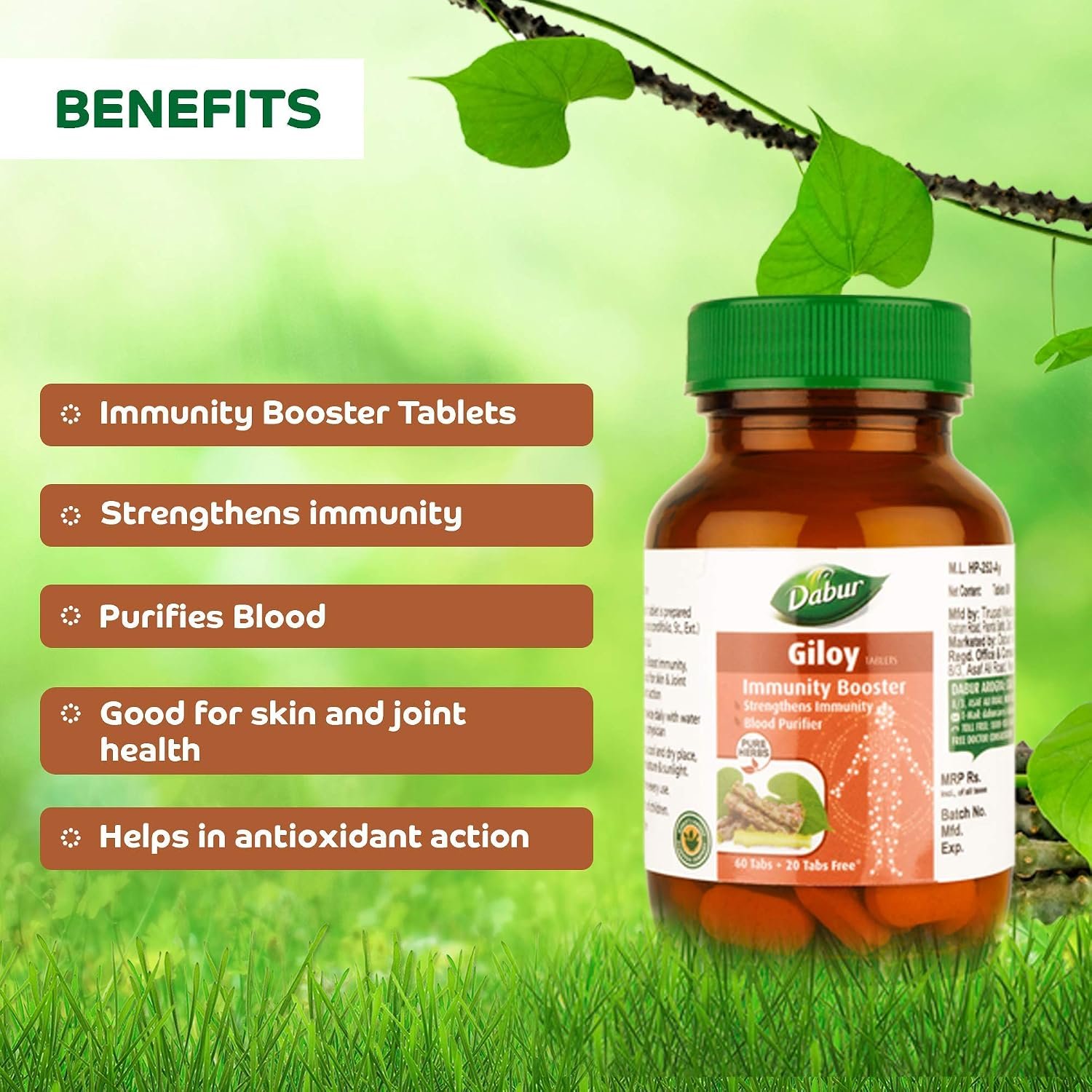 Dabur Giloy Tablets 60 + 20 Free | Ayurvedic Giloy Supplement | Supports Immunity & Overall Wellness | 80 Tablets thumbnail