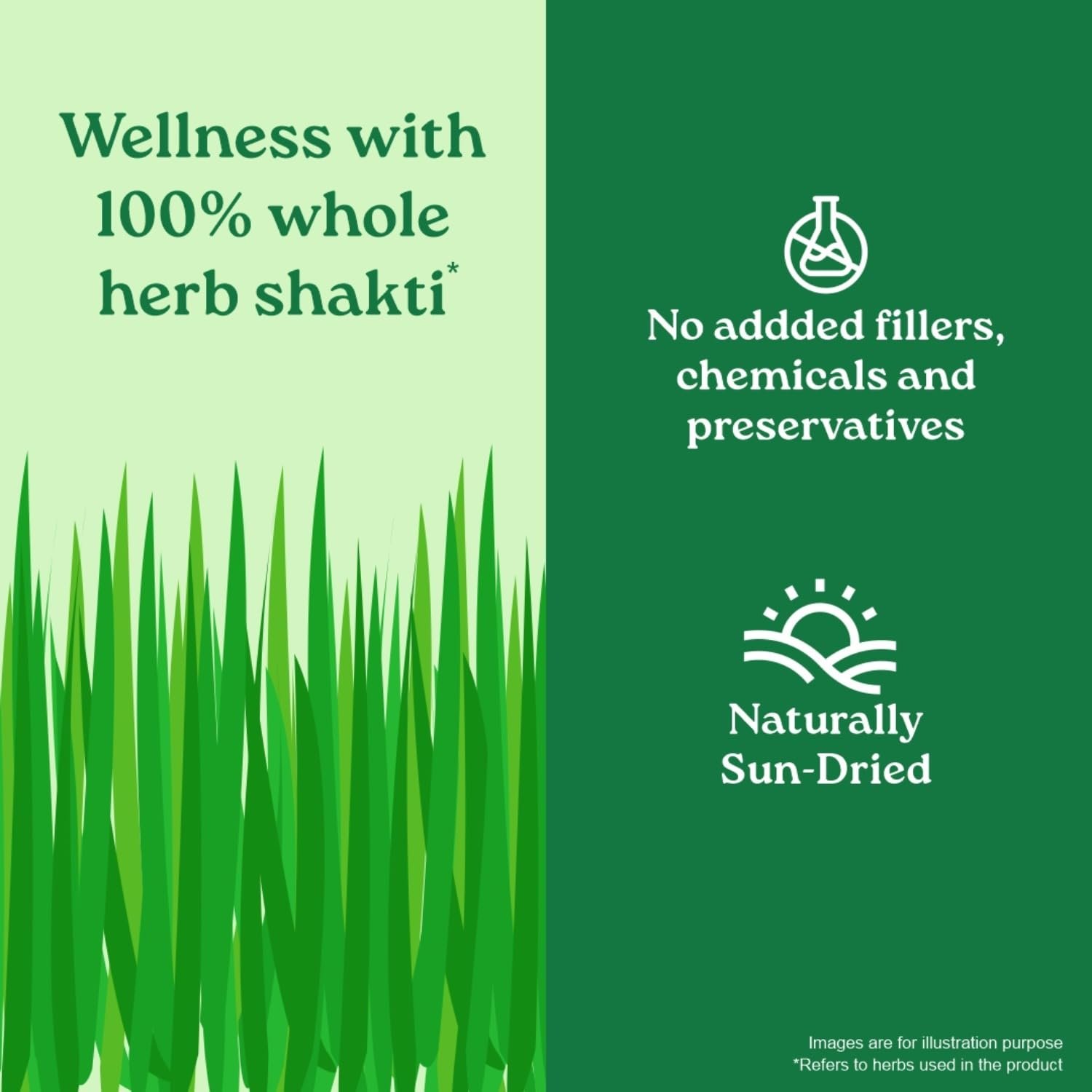 A TATA Product - Organic India Wheat Grass - 100g, Supports Immunity & Boosts Stamina, Rich in Natural Antioxidants, Vitamins & Minerals thumbnail