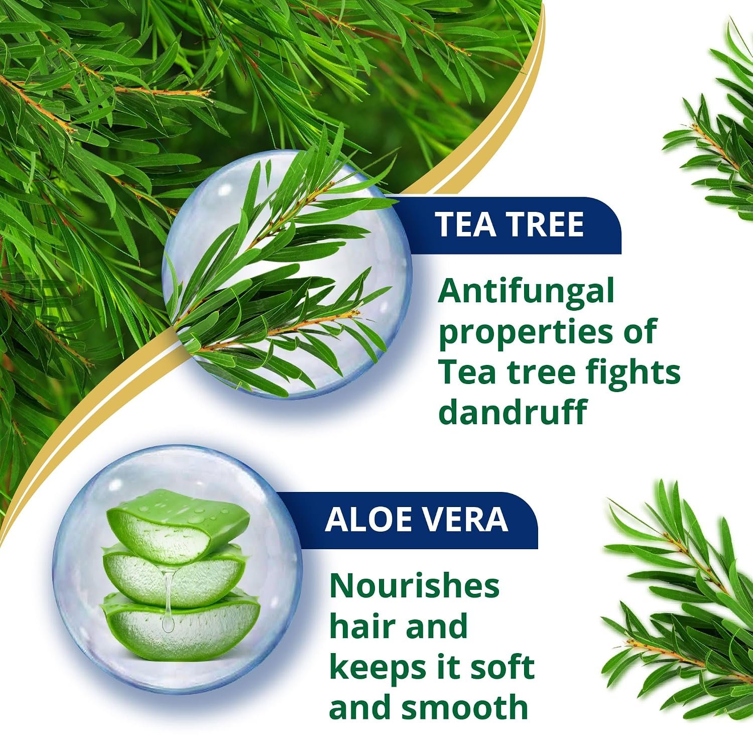 Himalaya Anti-Dandruff Tea Tree Shampoo 180 ml | with Tea Tree oil, Aloe Vera & Natural Proteins | Up to 100% Free From Dandruff | Dermatologically Tested | Non-Drying | For Women & Men thumbnail