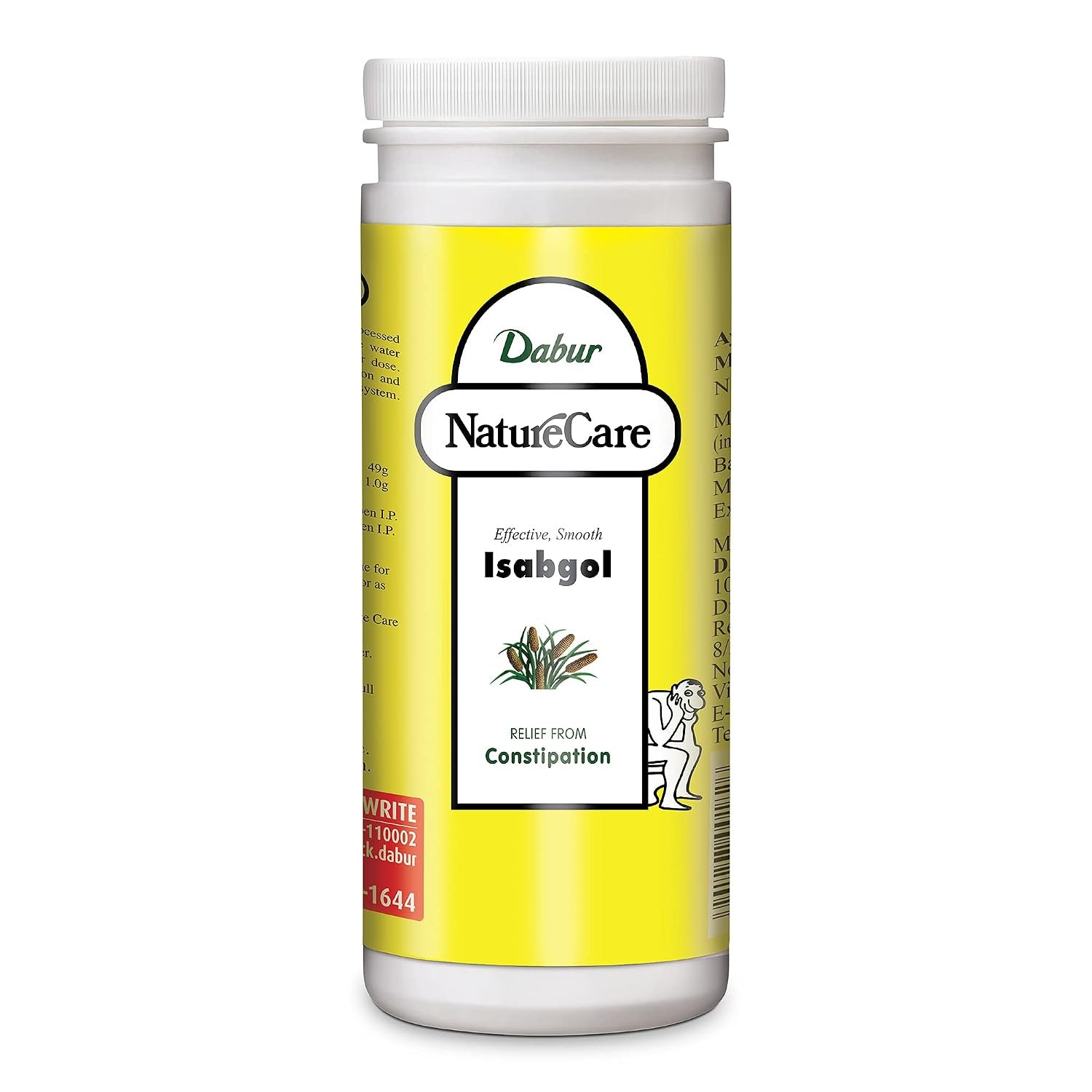 Dabur Nature Care Isabgol 375g | Natural Dietary Fibre | Helps Support Healthy Digestion & Relieve Constipation