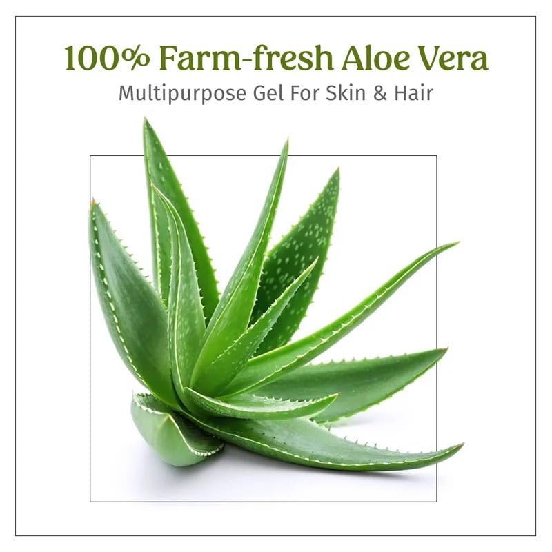 Vilvah Aloe Vera Gel for Face, Skin & Hair | Soothing & Hydrating Gel | Helps Reduce Acne, Calm Irritation & Add Shine to Hair | Lightweight, Hydrating & Non-Sticky Formula | 100ml thumbnail