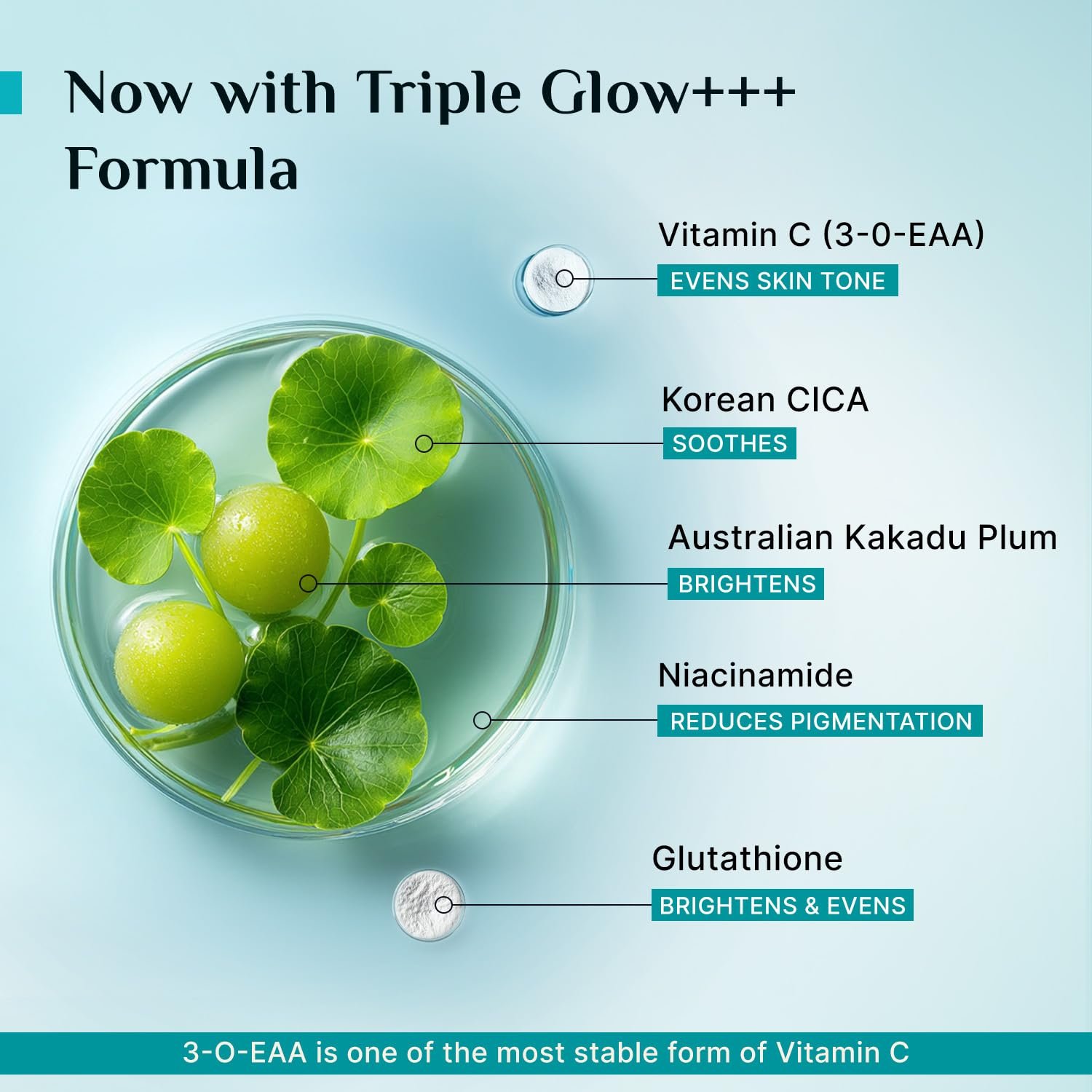 Pilgrim 10% Vitamin C Serum 30ml for Glowing Skin | With 5% Niacinamide, Hyaluronic & Glycolic Acid | Fades Dark Spots, Pigmentation | For All, Oily, Combination, Normal Skin thumbnail