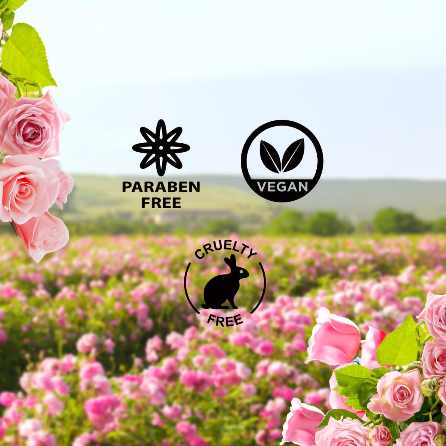 Wanderlust Country Rose Shower Gel, 300 ml| Nourishes & Hydrates| Gentle Cleanser| Floral Fragrance of Country Rose |Enriched With Aloe Vera| Paraben-Free, Vegan Formula| thumbnail