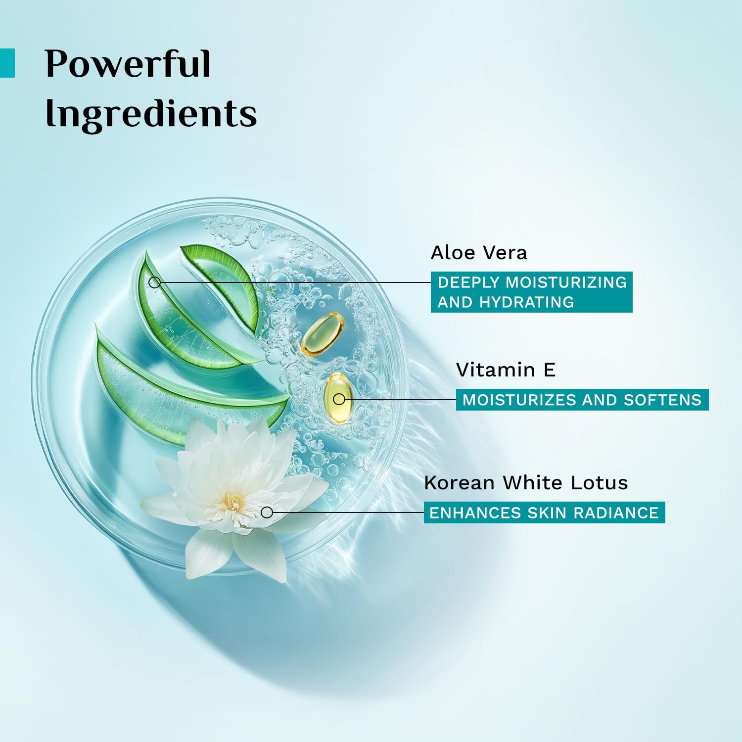 PILGRIM Korean 99% Pure Aloe Vera Gel 200ml with Vitamin E & Vitamin B5 for Face & Hair | Hydrates & Soothes Skin | Conditions & Softens Hair thumbnail