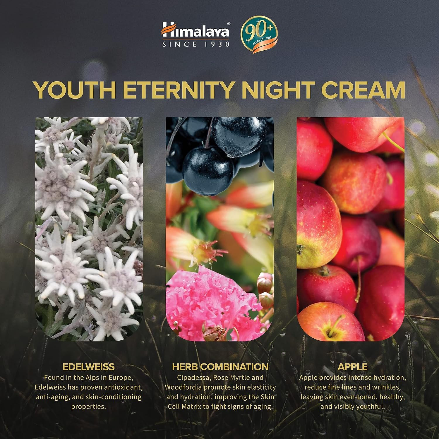 Himalaya Youth Eternity Night Cream – Anti-Ageing Night Moisturizer for Firm, Smooth & Youthful-Looking Skin, 50ml thumbnail