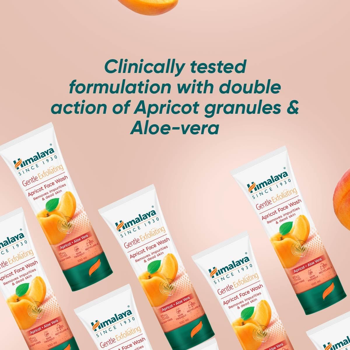 Himalaya Herbal Deep Cleansing Apricot Face Wash, 100ml thumbnail