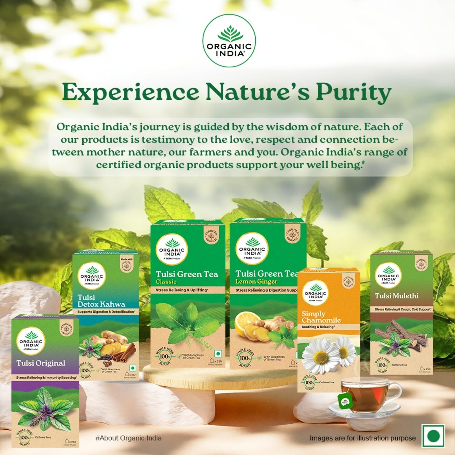 A TATA Product - Organic India Tulsi Green Tea Lemon Ginger , Herbal Blend with Green-Tea, Tulsi, Lemon & Ginger, Supports Digestion -25 Teabags. thumbnail