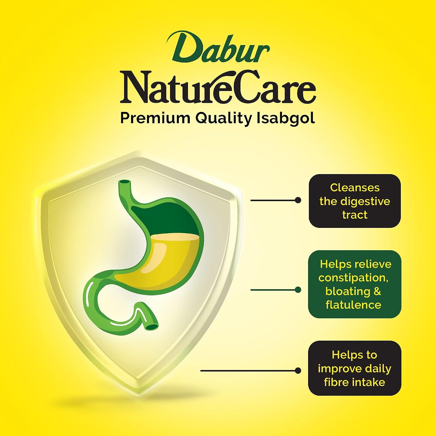 Dabur Nature Care Isabgol 375g | Natural Dietary Fibre | Helps Support Healthy Digestion & Relieve Constipation thumbnail
