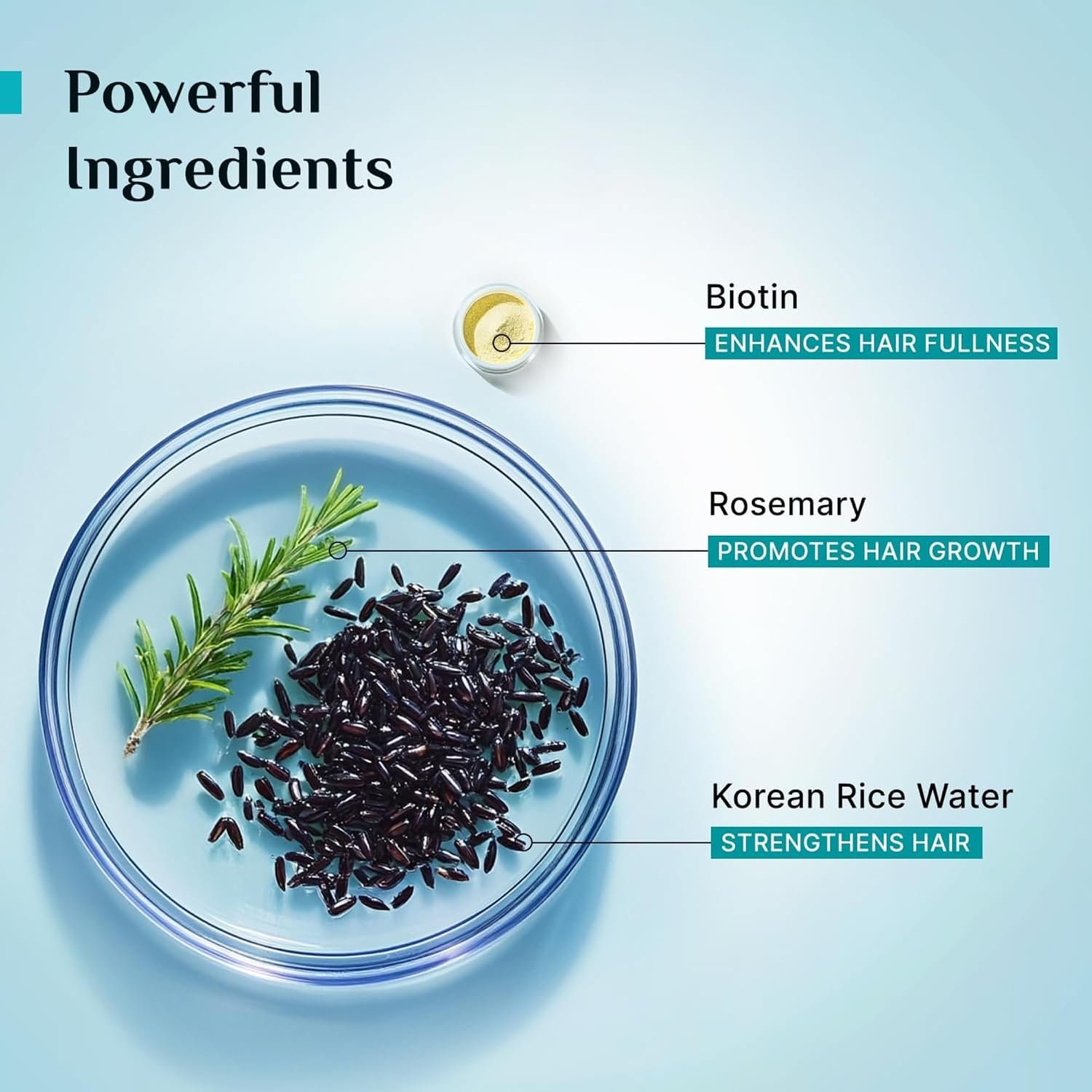 Pilgrim Korean Black Rice and Rosemary Water Spray With Biotin For Strong, Nourished Hair 200ml | Spray for Regrowth | Thicker & Stronger Hair | Sulphate & Paraben Free I For Women for Men thumbnail