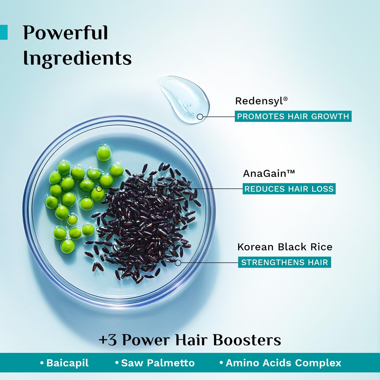 Pilgrim Redensyl & Anagain Hairfall Control Shampoo with Korean Black Rice 400ml | Anti Hairfall shampoo for Men & Women | Reduces Hairfall | Promotes Hair Thickness | For All Hair Types thumbnail