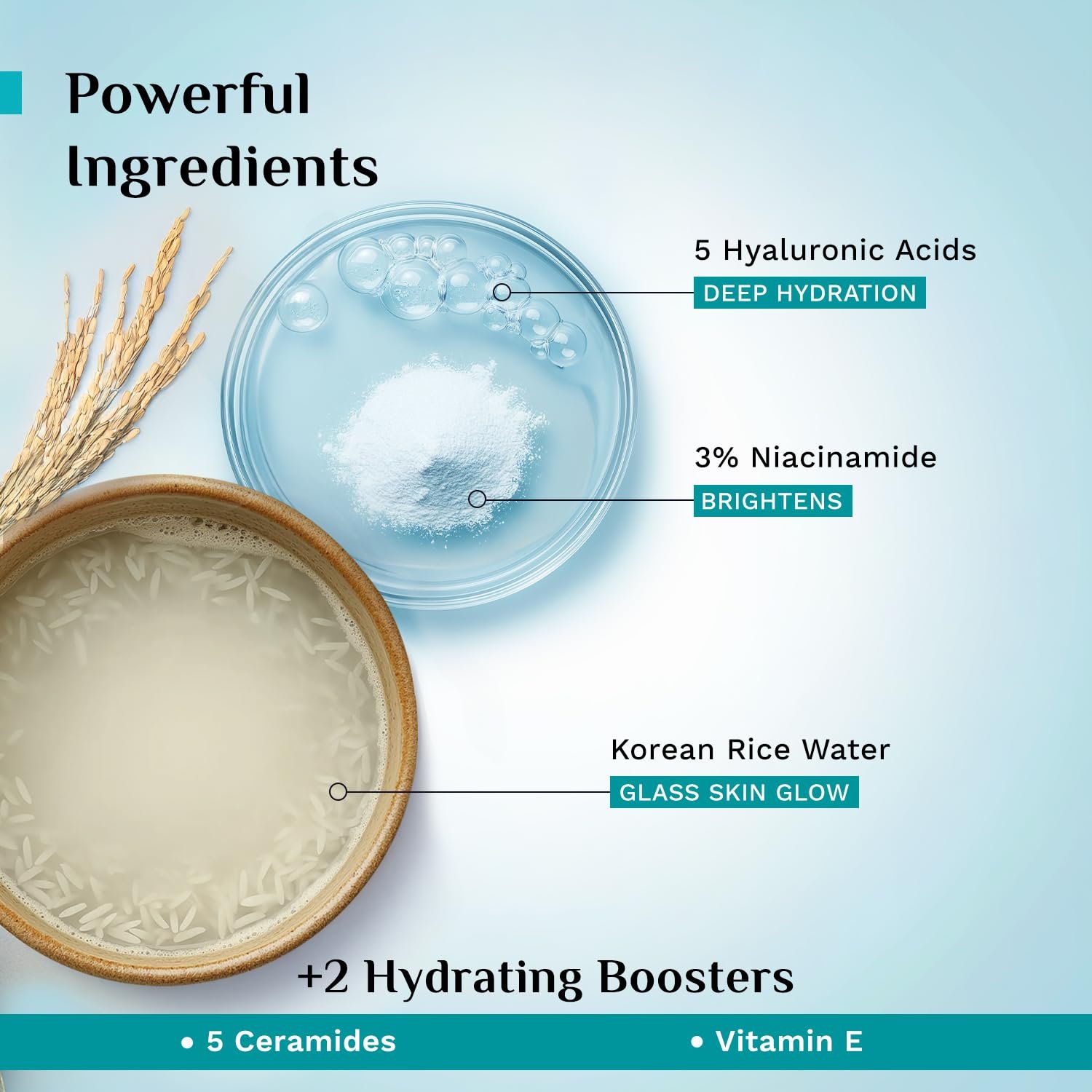 Pilgrim Korean Rice Water Hydra Glow Moisturizer Gel Cream - 200g Glass Skin Glow, Quick Absorbing, Deep Hydration, Winter & Summer Gel Moisturizer, with Niacinamide, For Normal to Dry Skin thumbnail