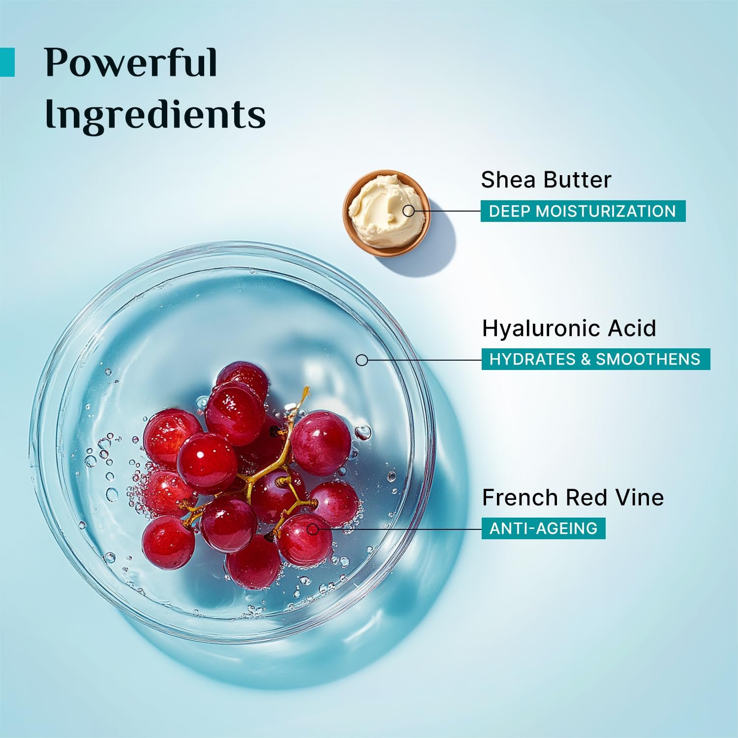 Pilgrim French Red Vine & Hyaluronic Acid Ultra Smooth Body Lotion | 48H Moisturization | Body lotion for dry skin | Infused With Shea Butter | For All Skin Types 400ml thumbnail