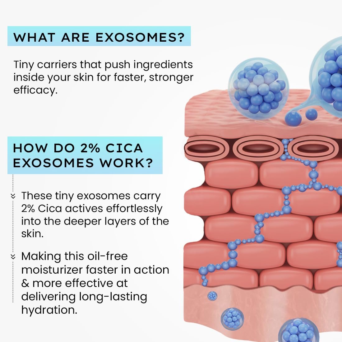 Hyphen 2% Cica Exosomes Oil-Free Moisturizer | 10X Deeper Hydration | Lightweight Water Gel with 5% Niacinamide | Controls Oil, Non-Comedogenic | Acne-Prone, Dry & Oily Skin - 50ml thumbnail