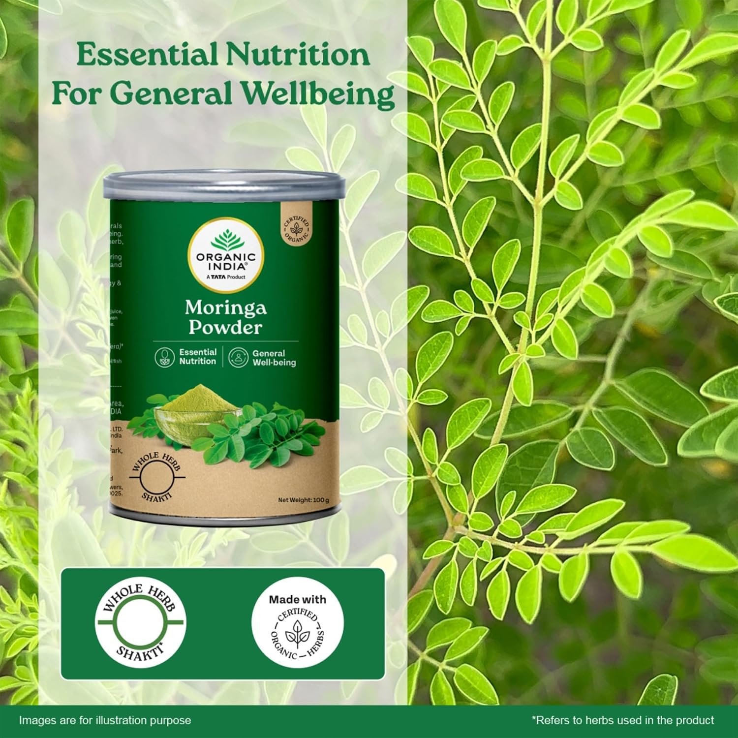 A TATA Product - Organic India Moringa Powder - 100g, Essential Nutrition Superfood, Helps Naturally Boost Energy Levels, Improves Stamina & Vitality, Rich In Vitamins & Minerals thumbnail