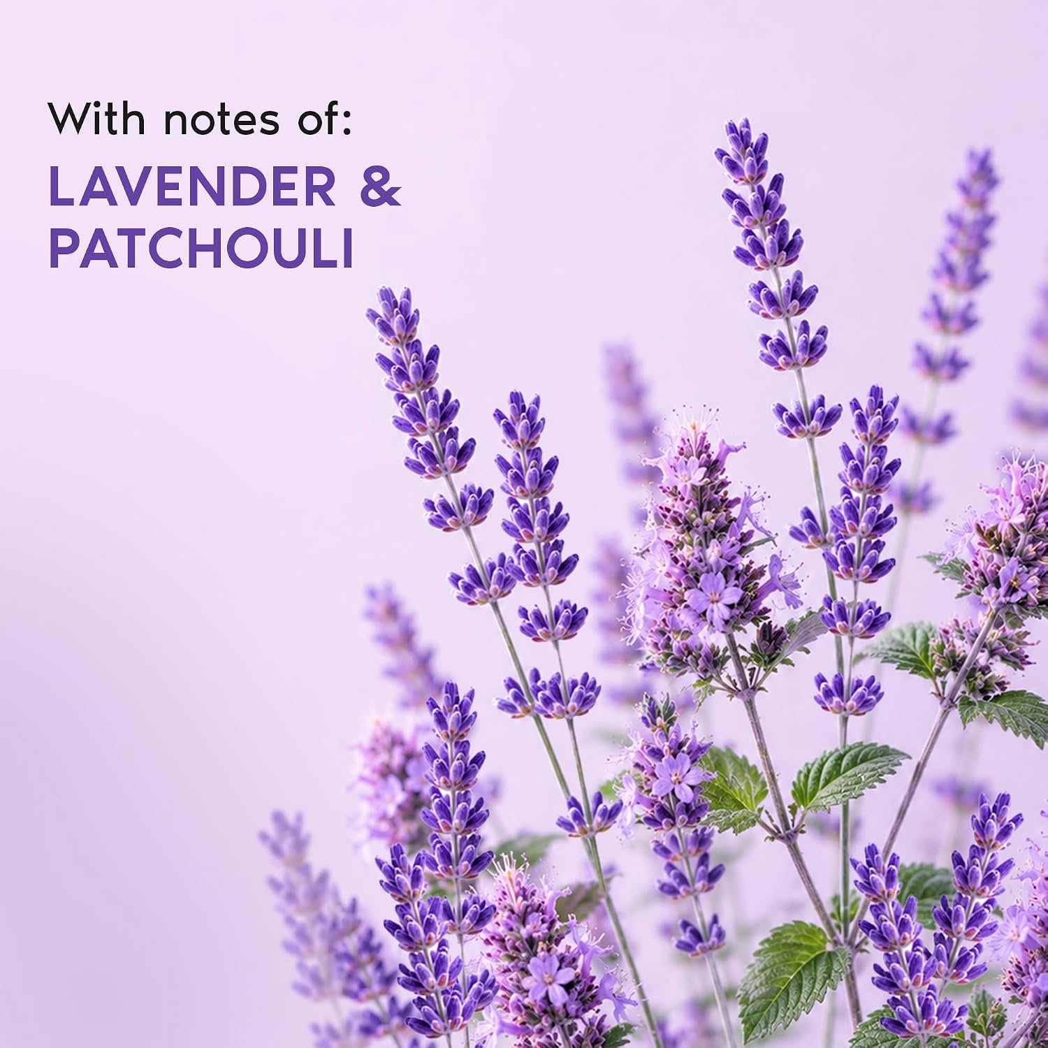 Nykaa Wanderlust French Lavender Floral Perfume Mist, Notes of Lavender & Patchouli, 8 Hrs Long-Lasting Everyday Fragrance, 200 ml thumbnail