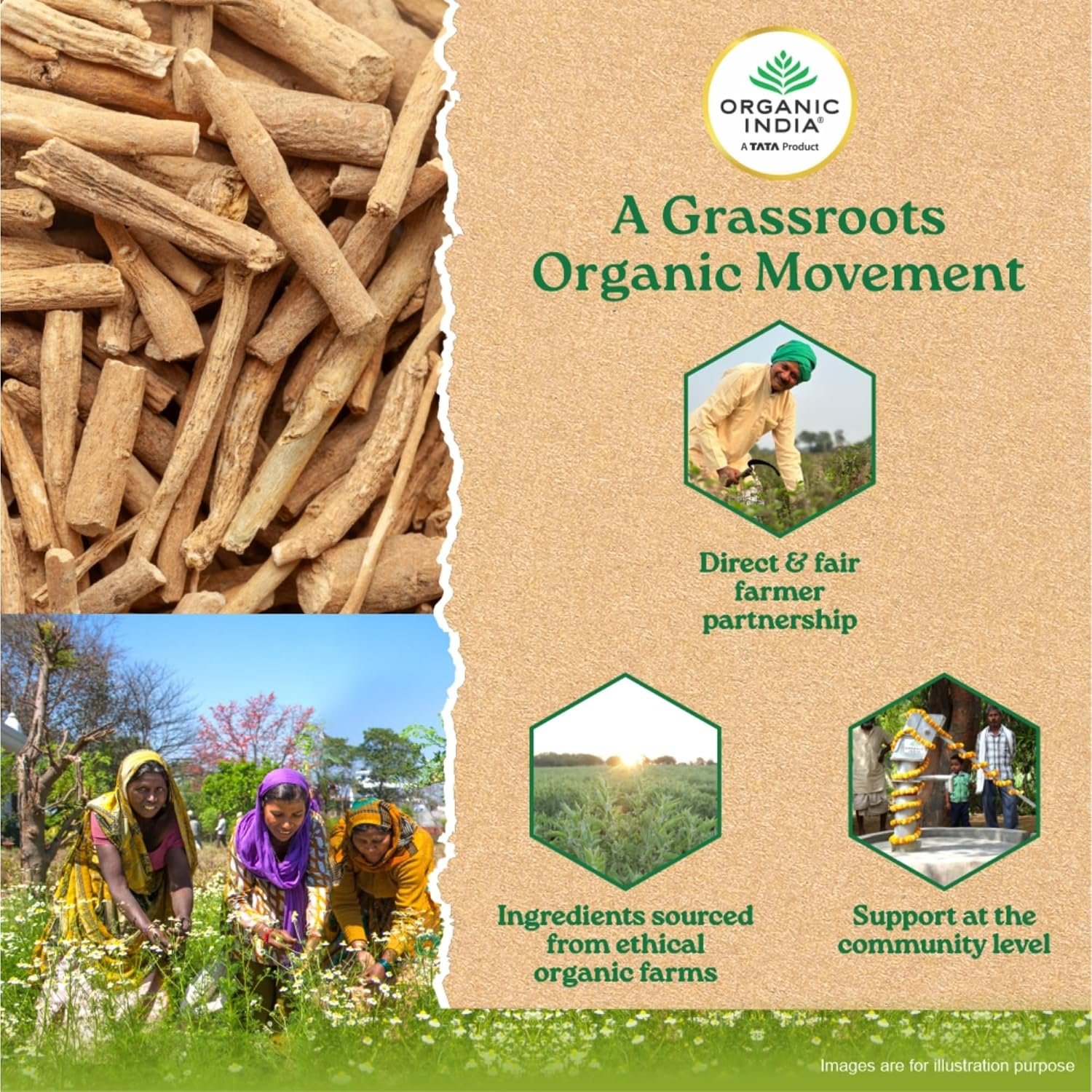 A TATA Product - Organic India Pure Ashwagandha Root Capsules - 60 Veg Caps (400mg), thumbnail