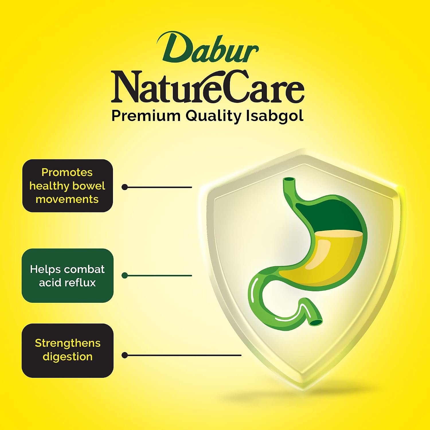 Dabur Nature Care Isabgol 375g | Natural Dietary Fibre | Helps Support Healthy Digestion & Relieve Constipation thumbnail