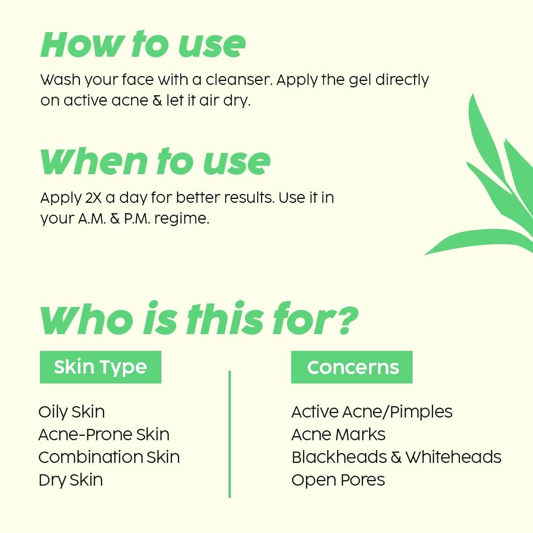 The Plant Fix Plix Jamun Acne Spot Corrector Gel For Reducing Active Acne | Day & Night Gel | Controls Oil & Soothes Inflammation | For Men & Women | 15g thumbnail
