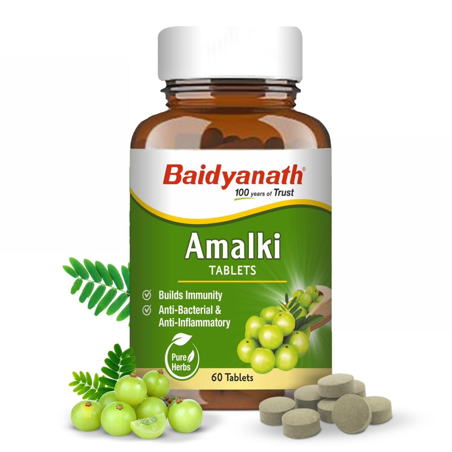 Baidyanath Ayurved Amlaki (Amla) | Helps to Build Immunity | Anti-Bacterial and Anti-Inflammatory | 60 TB