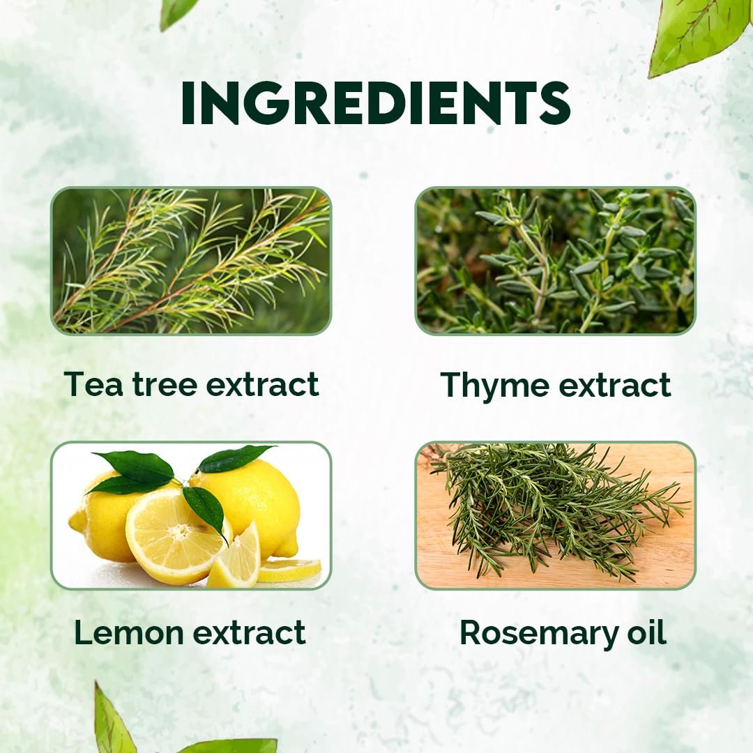 Jovees Herbal Thyme & Tea Tree Anti Dandruff Shampoo | With Tea Tree, Thyme & Lemon Extract | For All Hair Type | Prevents Dandruff & Dry Scalp | For Men & Women- 300ml thumbnail