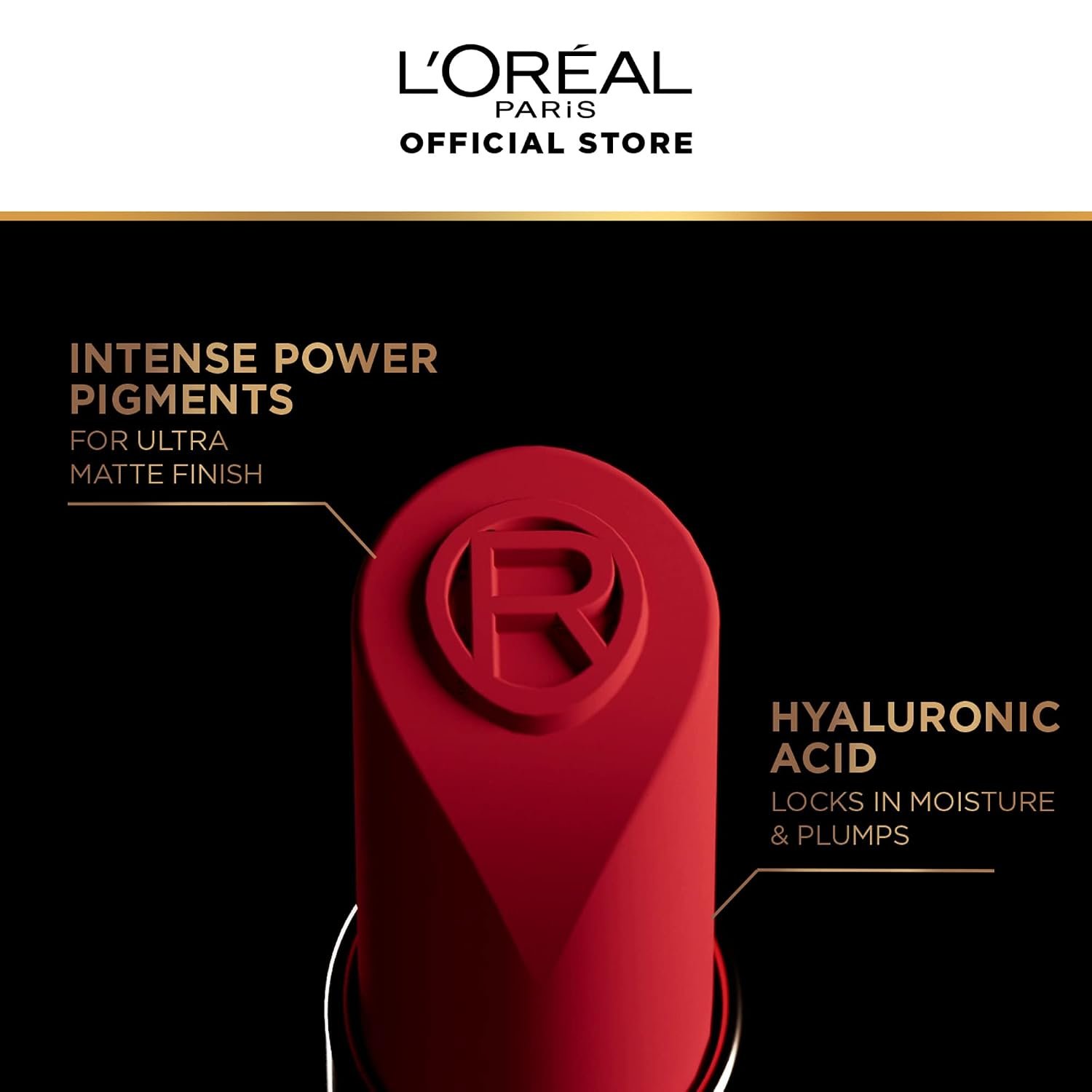 L'Oreal Paris Color Riche Intense Volume Matte Lipstick, 276 La Leather Liberated, 1.8 gm thumbnail