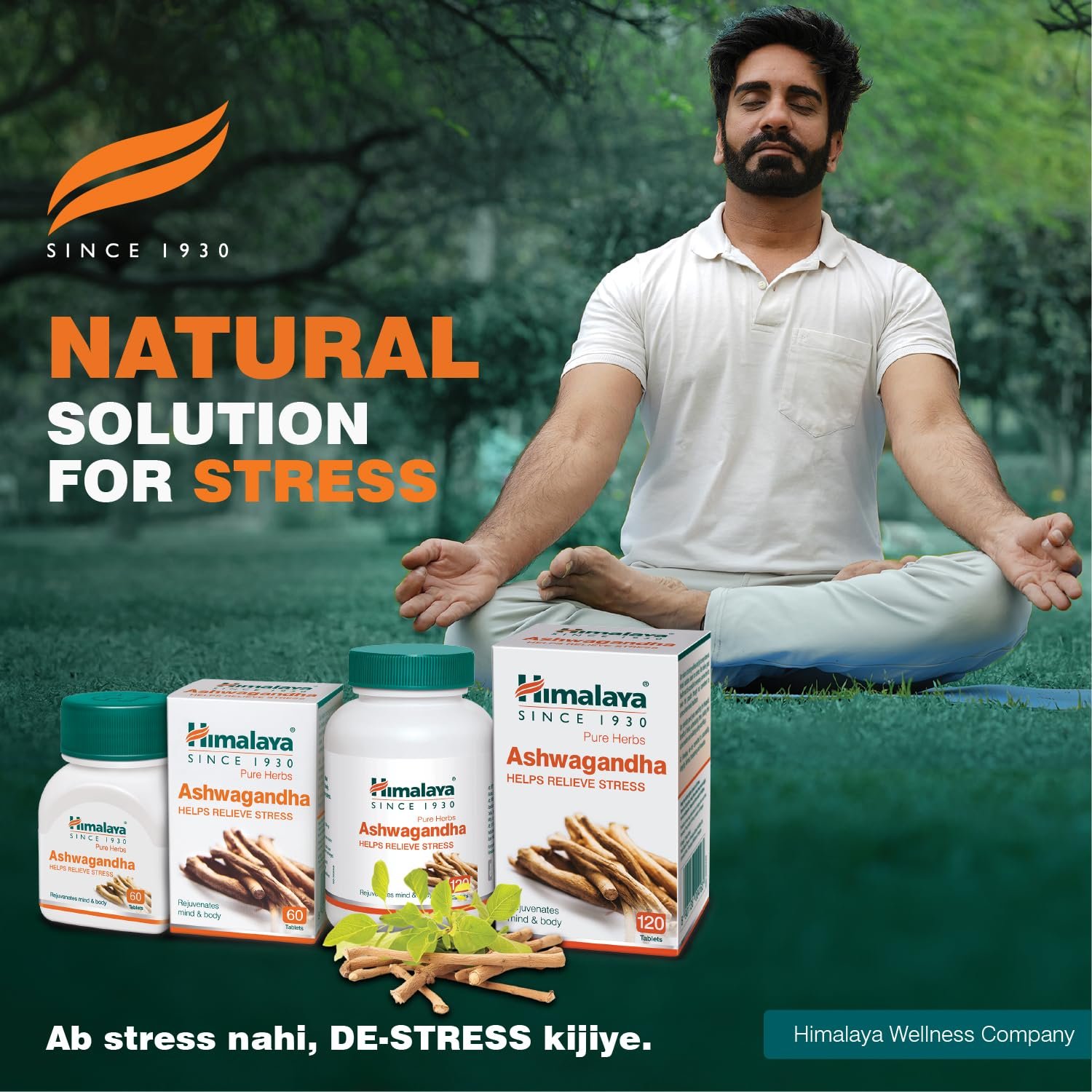 Himalaya Ashvagandha - 120 Tablets thumbnail