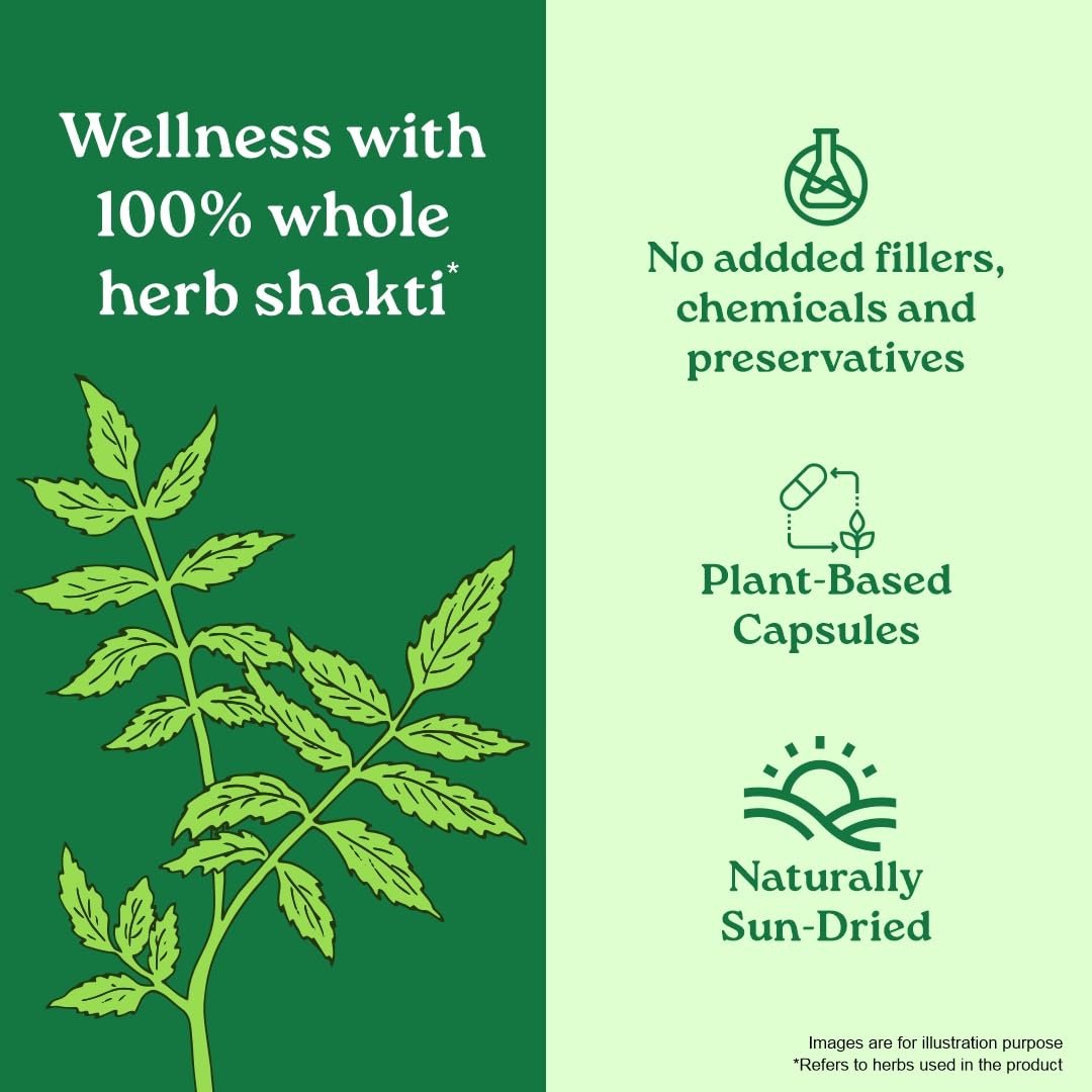 A TATA Product - Organic India Neem Blood Purifier - 60 Veg Capsules, Natural Blood Purifier, thumbnail