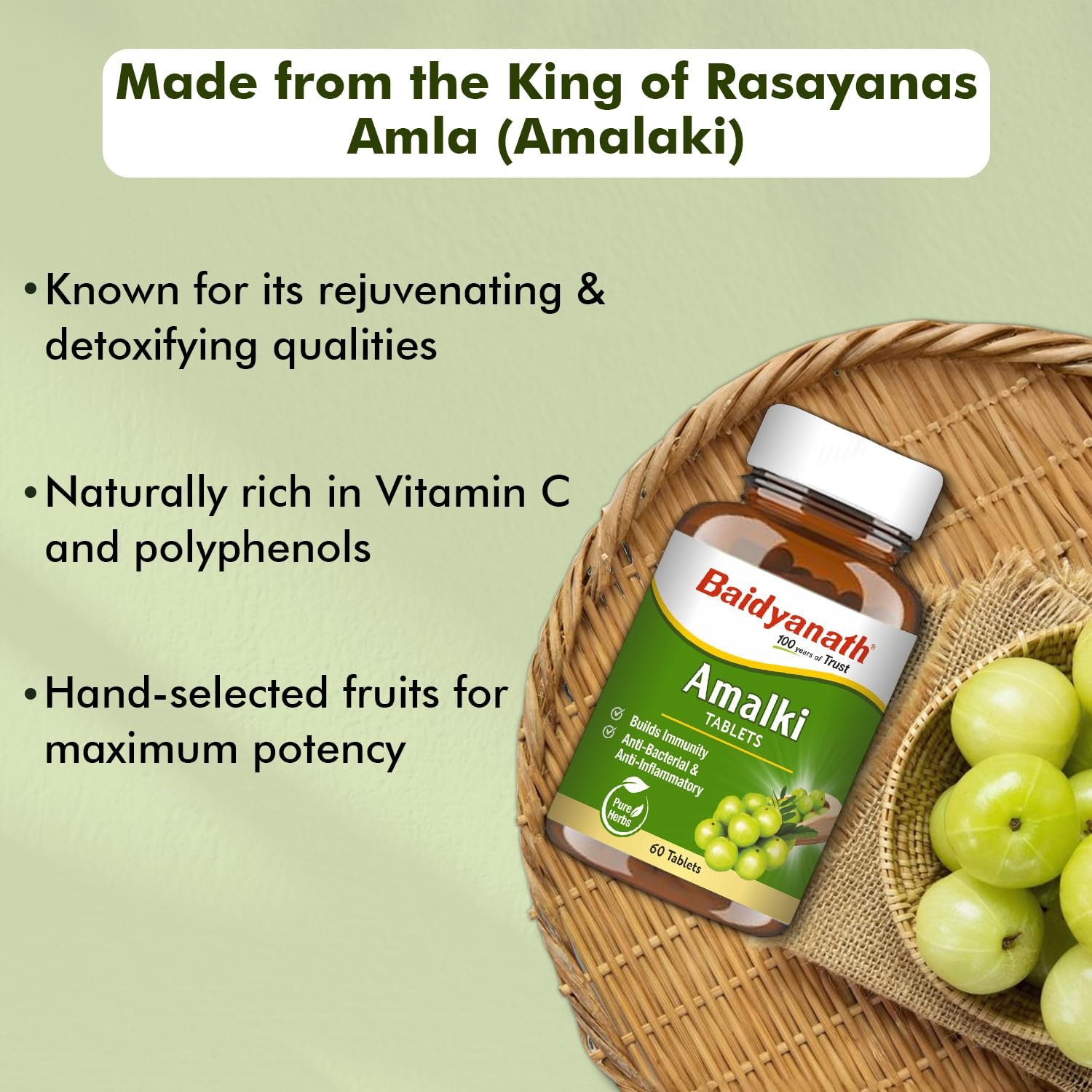 Baidyanath Ayurved Amlaki (Amla) | Helps to Build Immunity | Anti-Bacterial and Anti-Inflammatory | 60 TB thumbnail