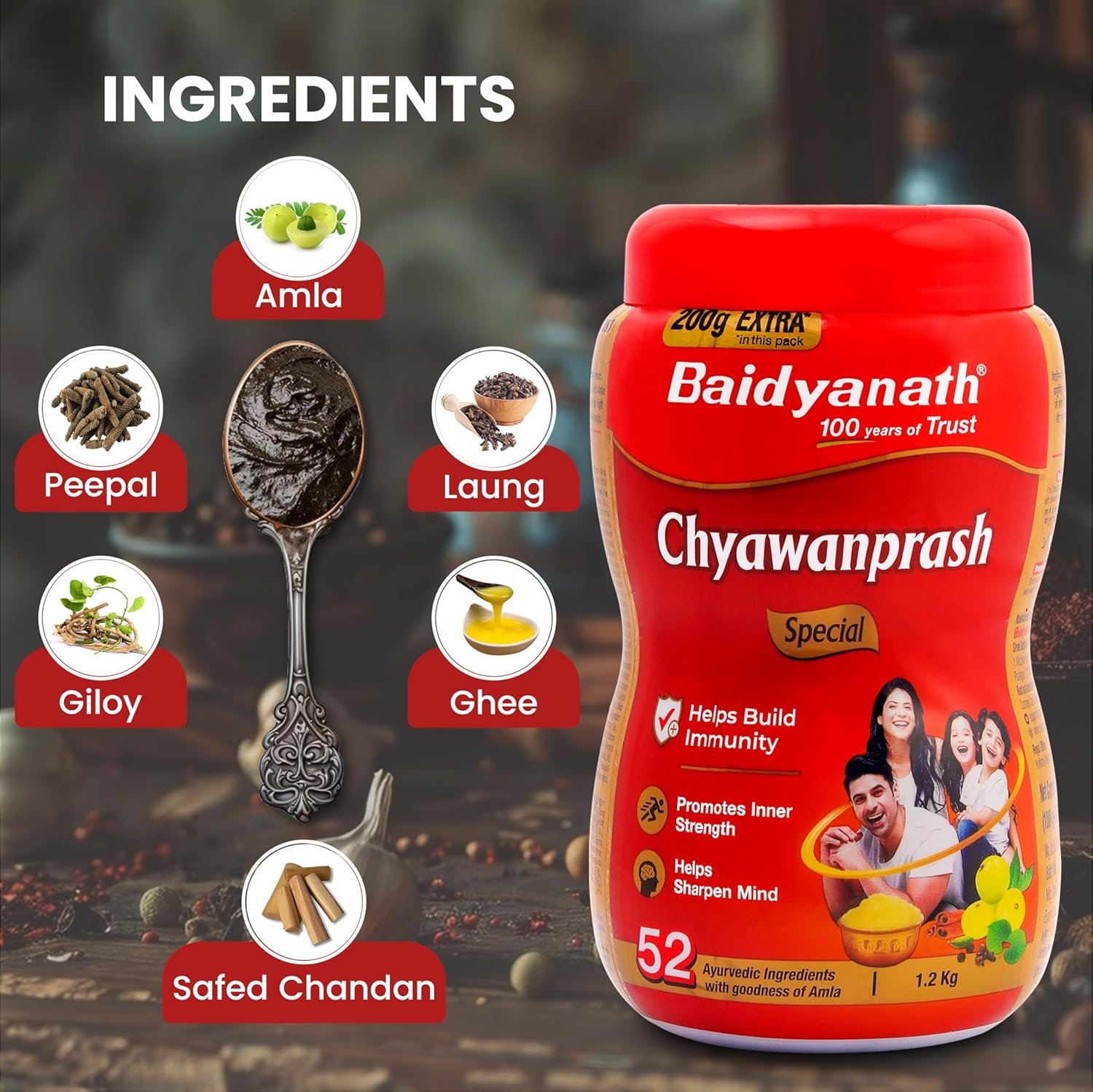 Baidyanath Chyawanprash Special-1.2 Kg |Enriched with 52 Essential Herbs & Minerals | thumbnail