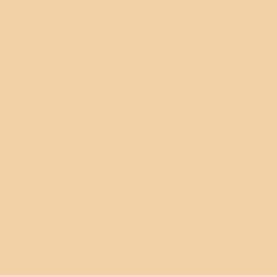 Daily Life Forever52 Complete Coverage Concealer | Easily Blendable, Natural Finish, Crease-Resistant & Buildable Coverage for Face Makeup thumbnail