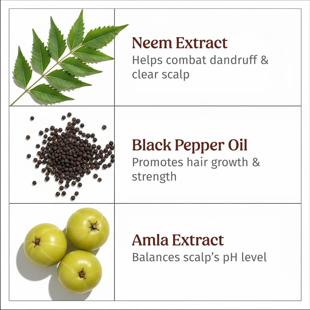 Vilvah Herbal Shampoo for Dandruff Control | Neem, Tea Tree, Rosemary & Black Pepper Herbal Formula | For All Hair Types, Men & Women | No Paraben & Sulfates | 250ml thumbnail