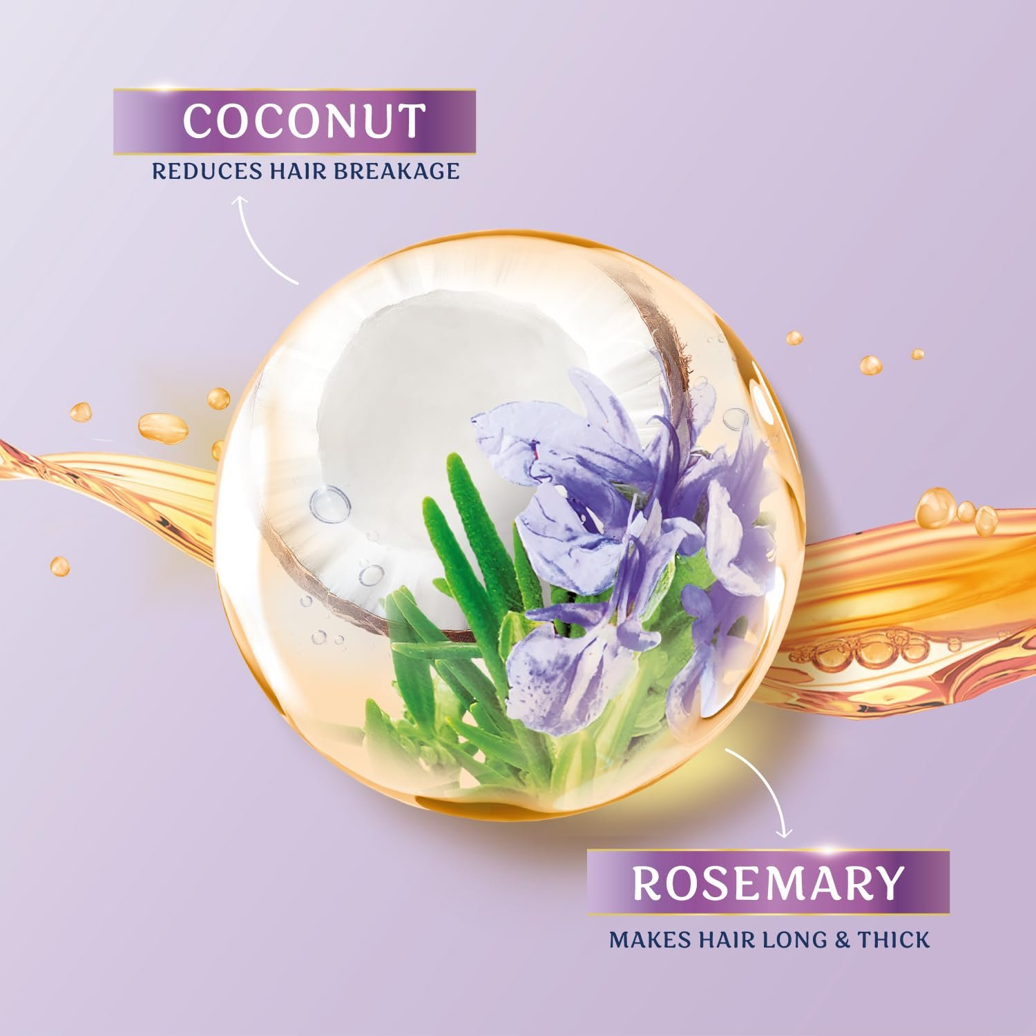 Parachute Advansed Rosemary-enriched Coconut Hair Oil| Rosemary Hair Oil| Superfoods Magic| Long & Thick Hair|300 Ml thumbnail