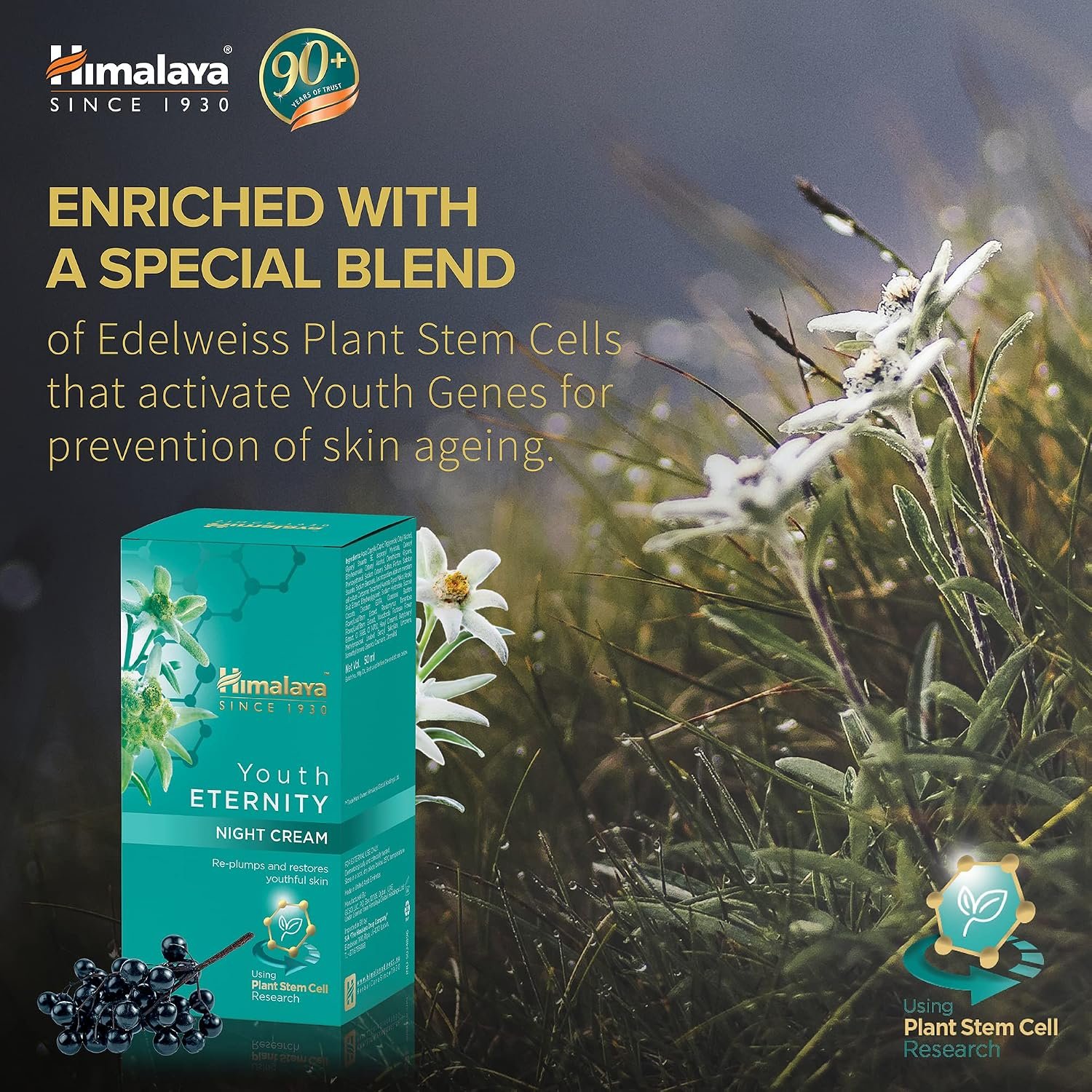 Himalaya Youth Eternity Night Cream – Anti-Ageing Night Moisturizer for Firm, Smooth & Youthful-Looking Skin, 50ml thumbnail